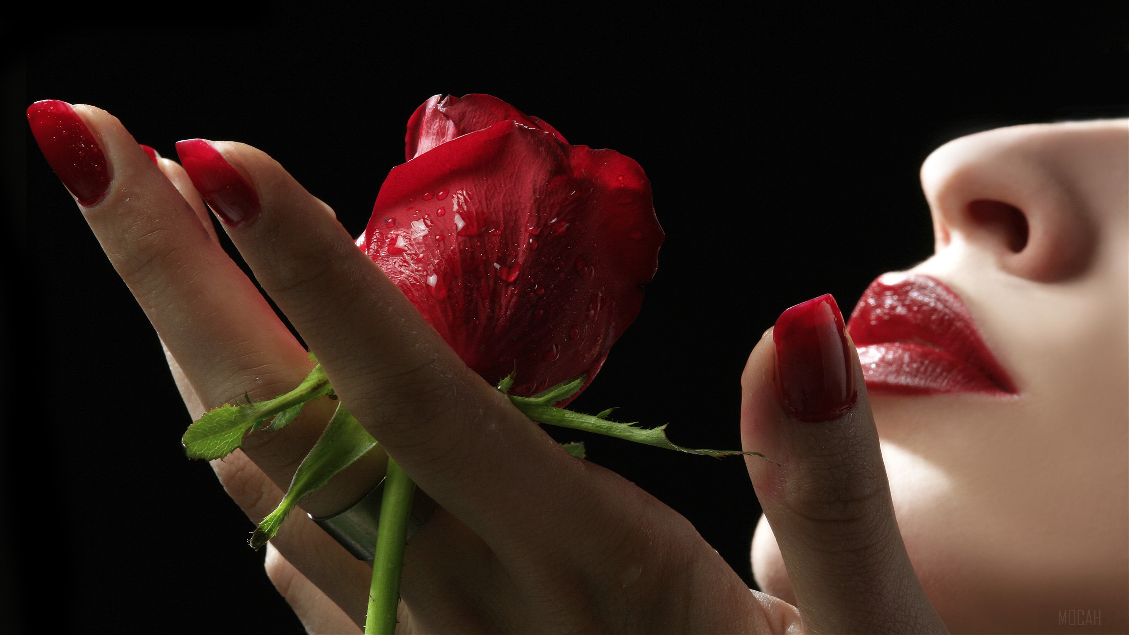 Red Rose and Lips HD Wallpaper