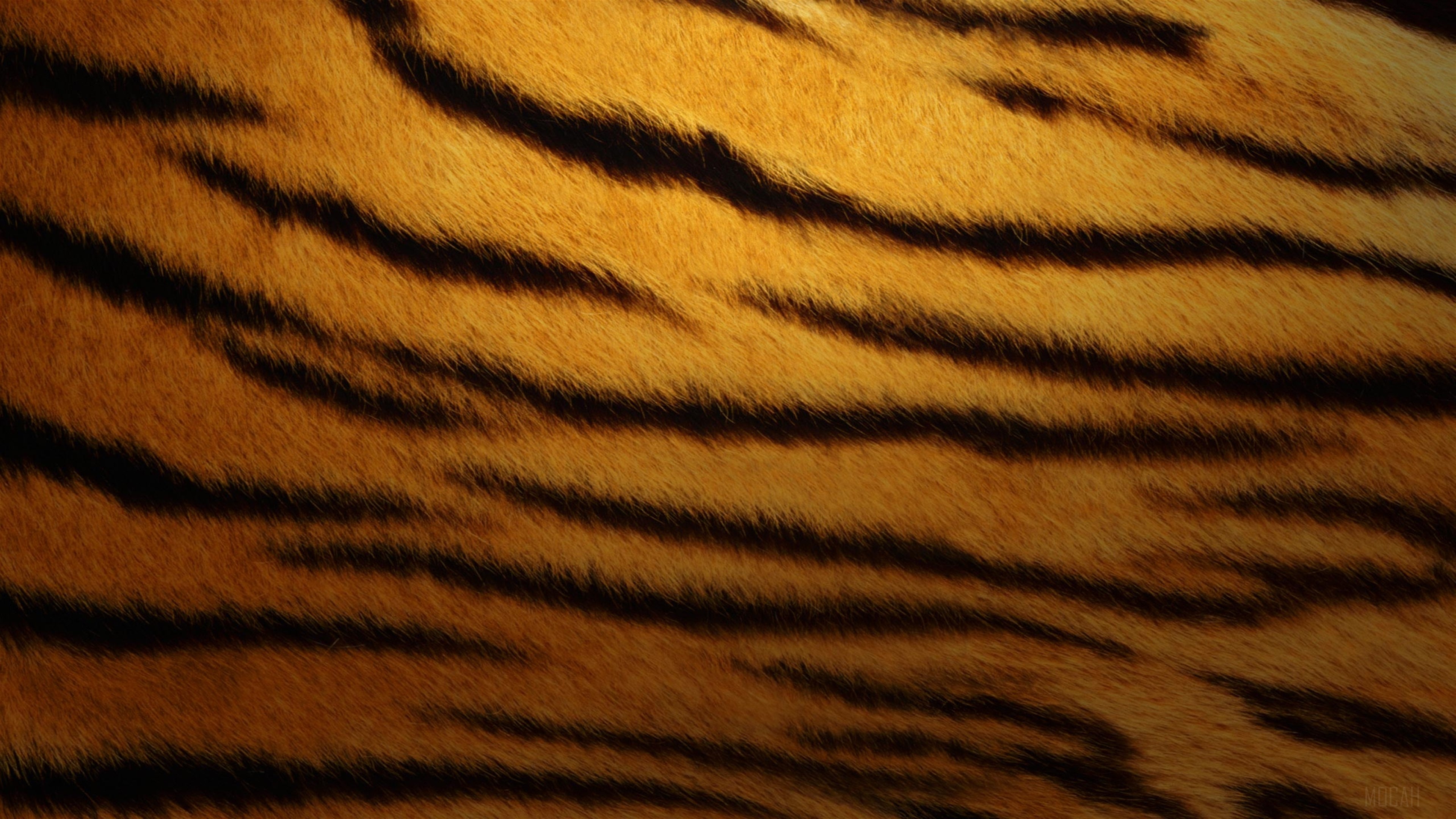 Tiger Skin HD Wallpaper