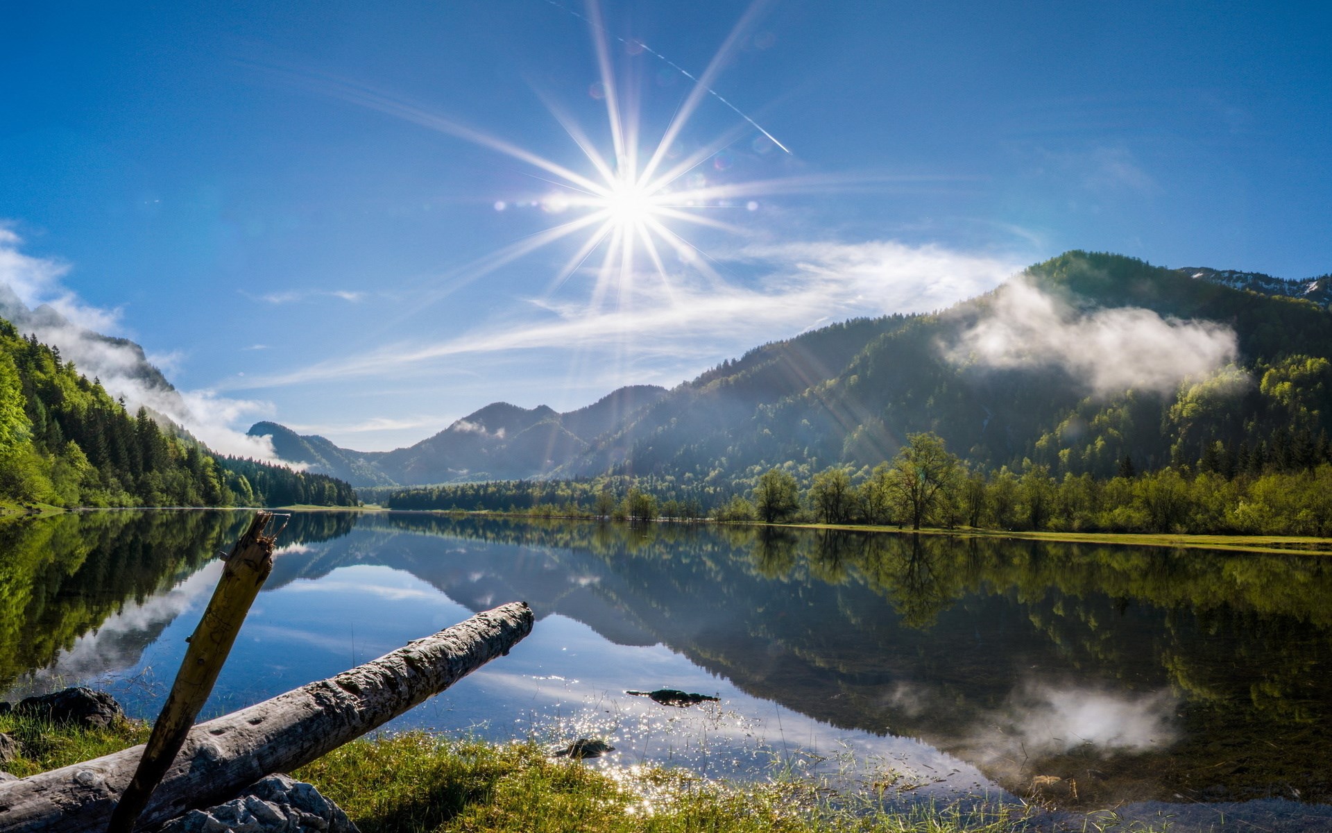 Sunlit mountain lake with reflections and fallen logs HD Wallpaper