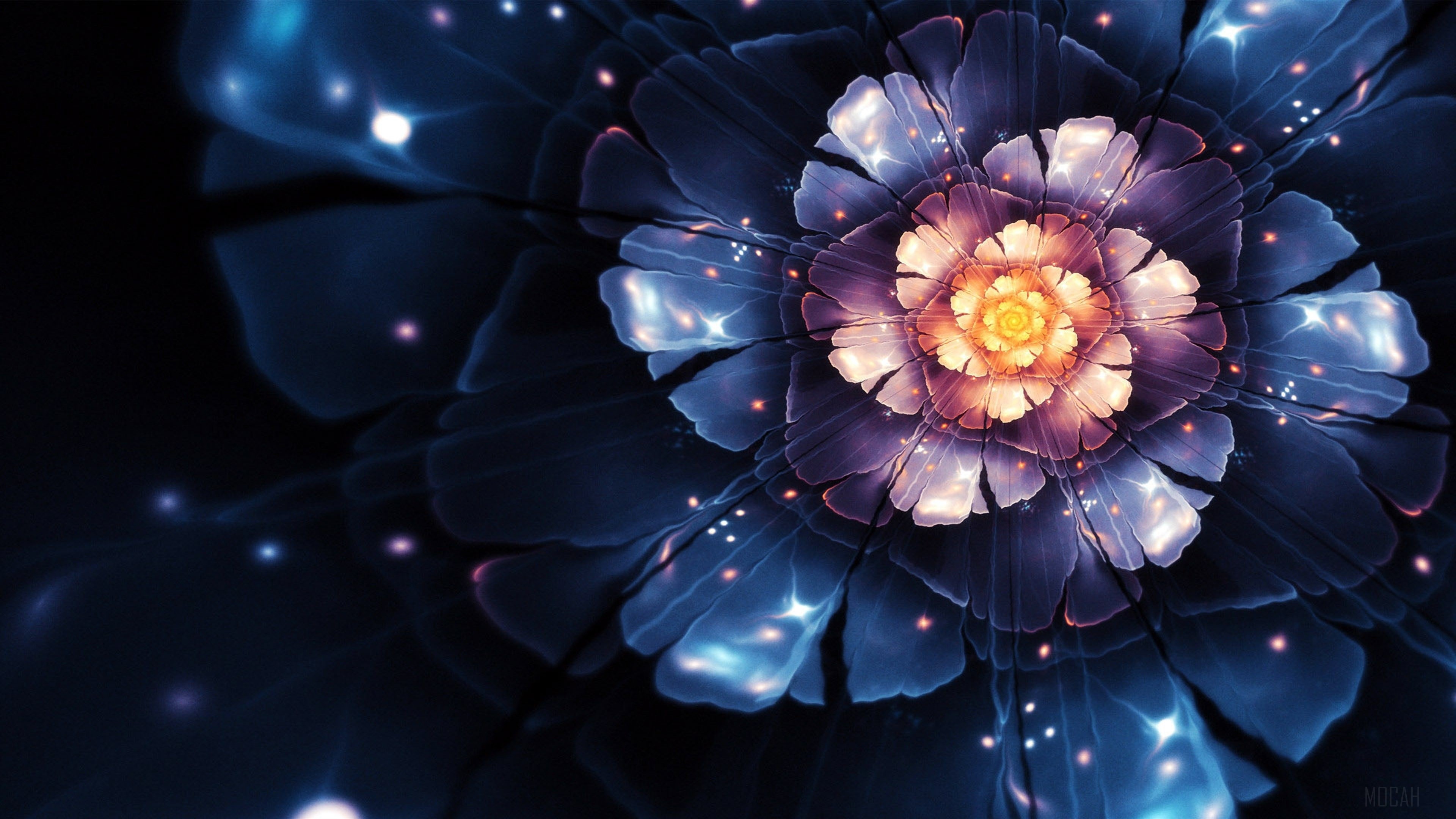3D Abstract Flower HD Wallpaper