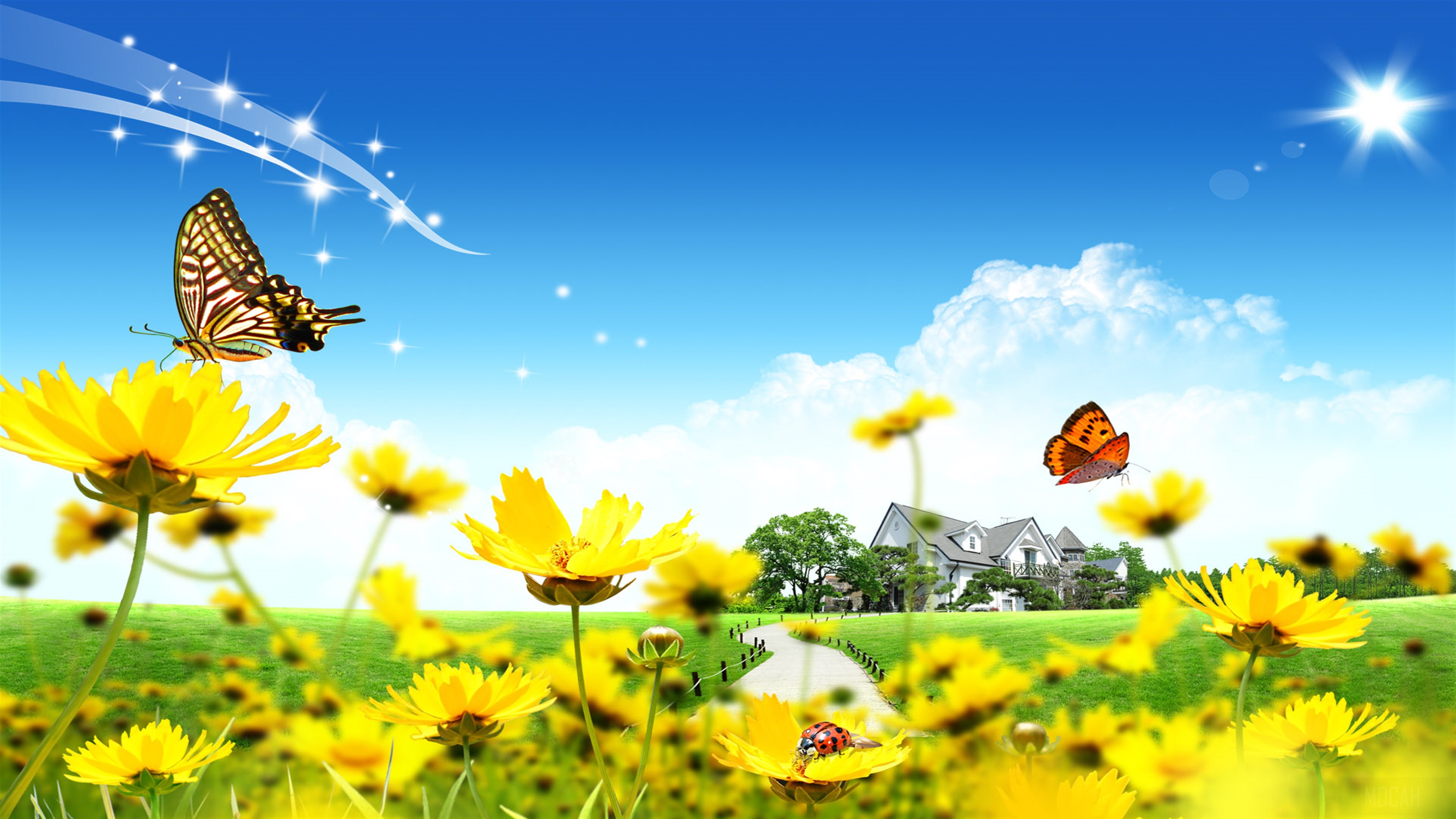 Beautiful Flowers Home HD Wallpaper