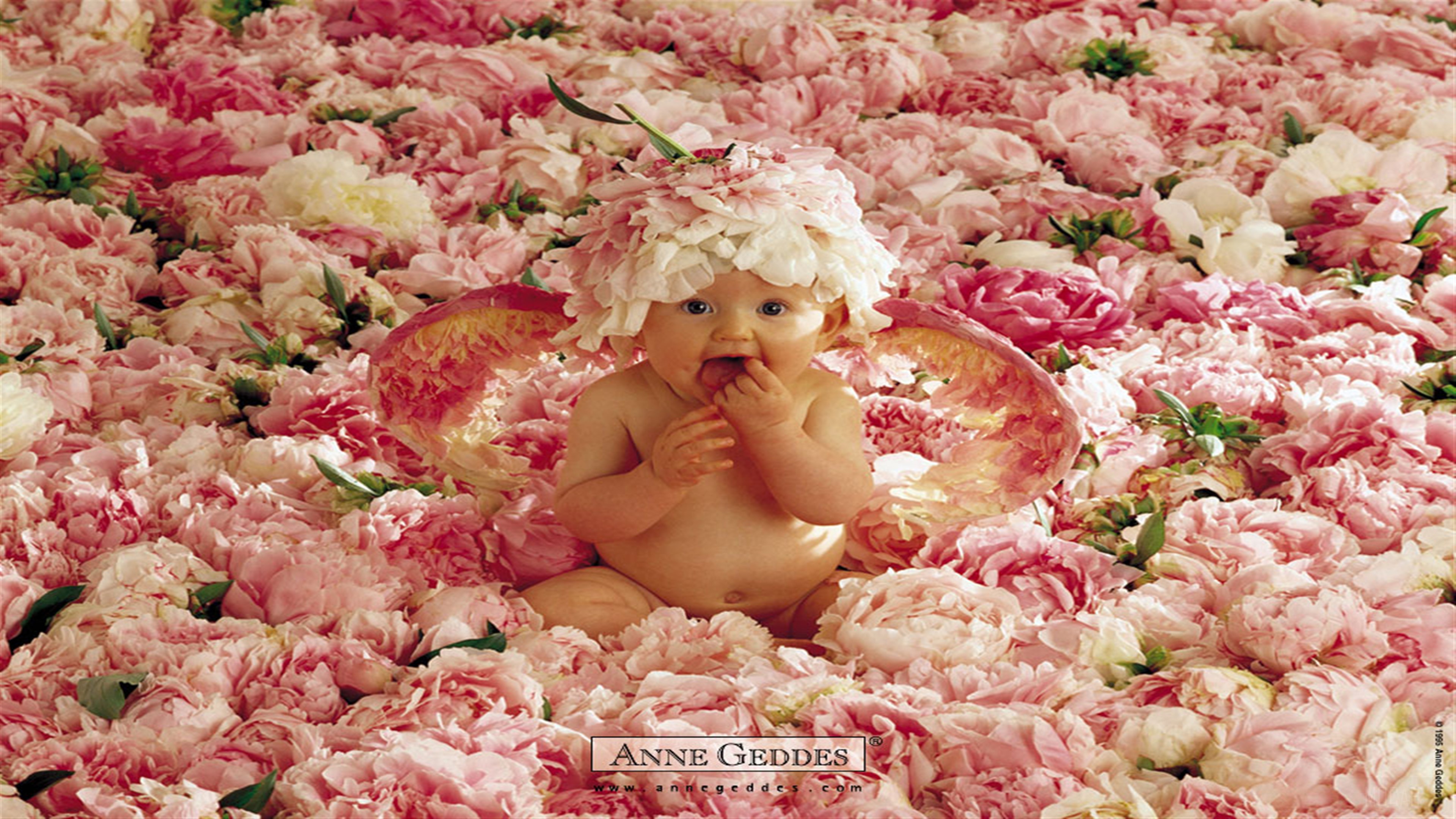 Baby in Pink Flowers with Flower Hat 4K HD Wallpaper