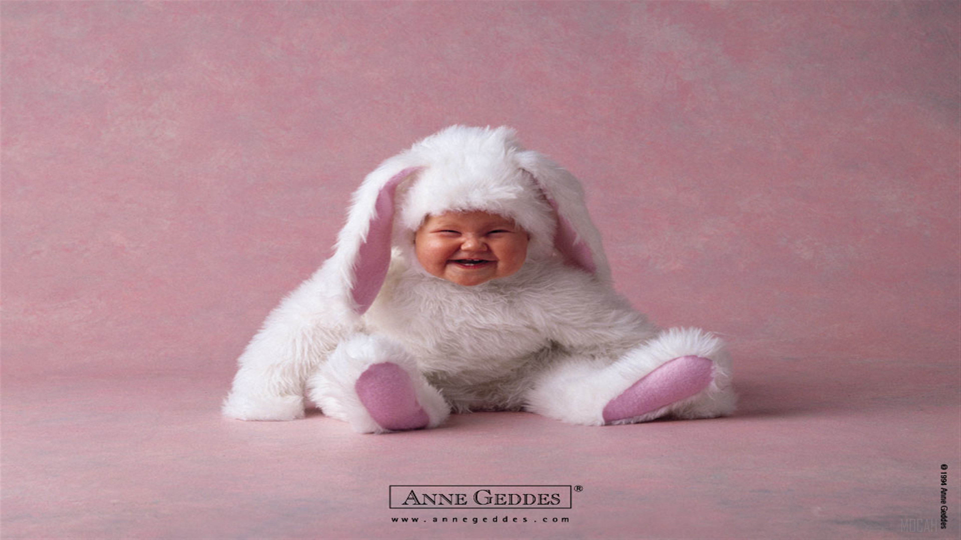 Baby in a bunny costume smiling HD Wallpaper