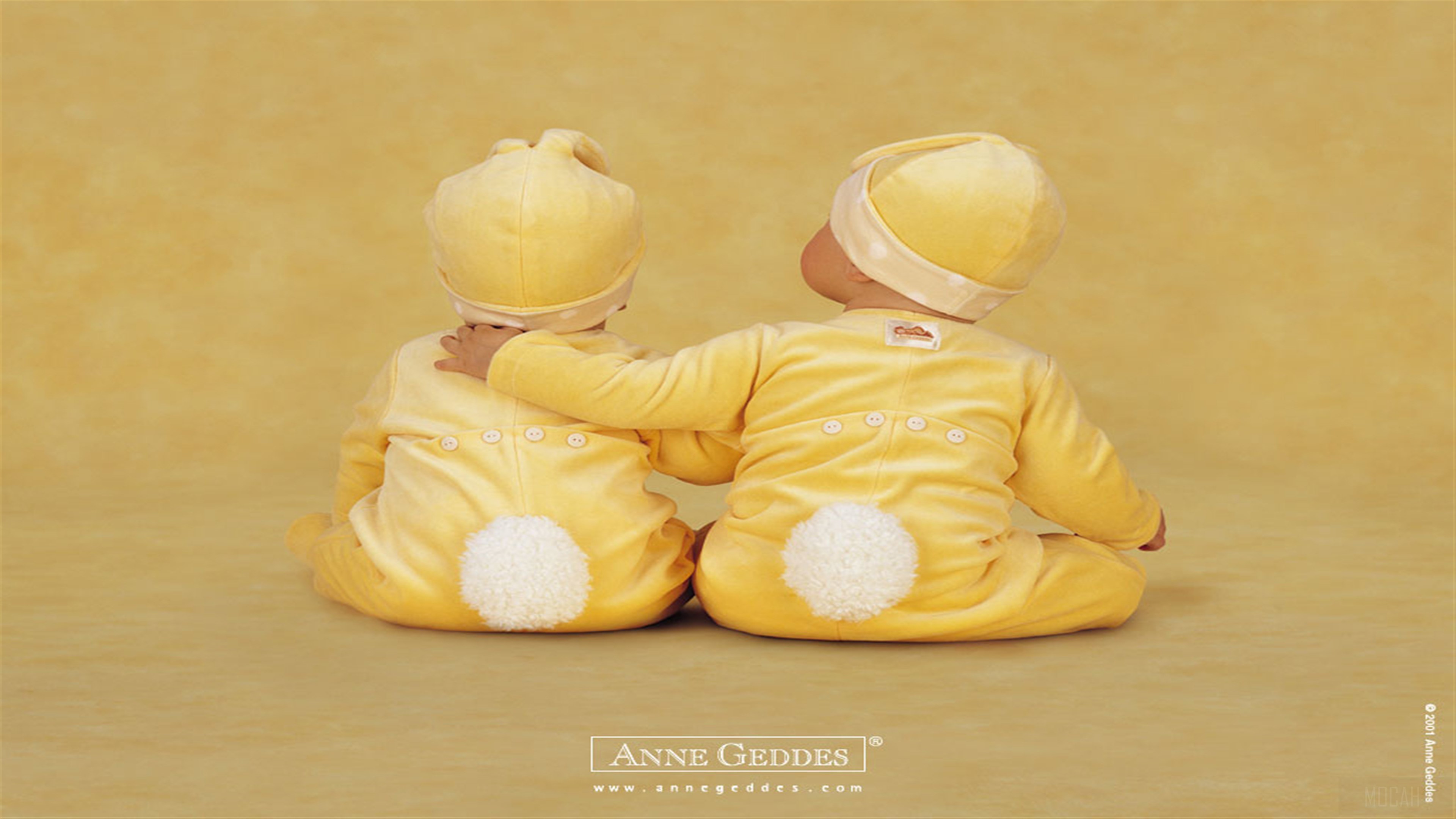 Two babies in yellow bunny outfits with Anne Geddes logo HD Wallpaper
