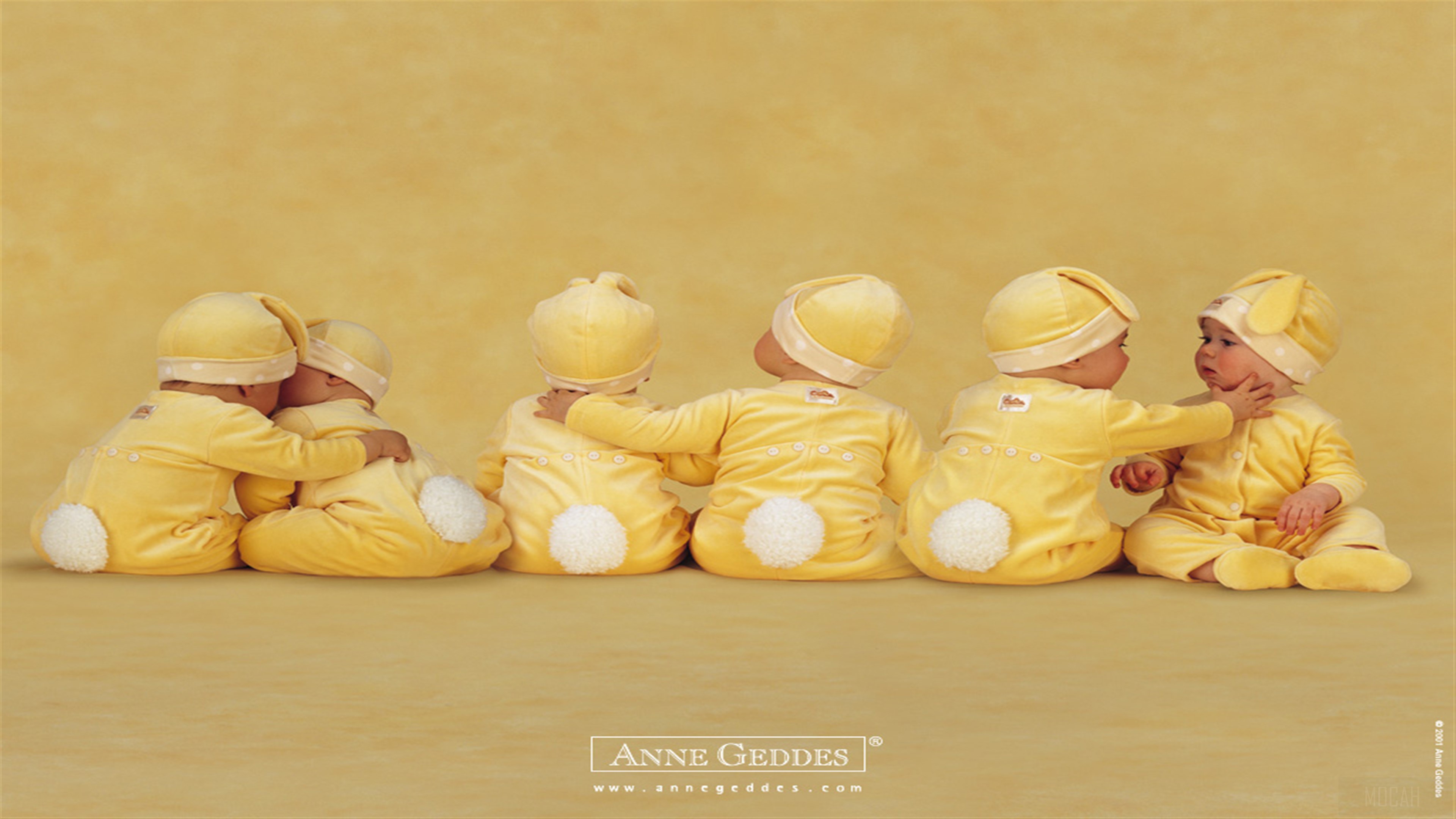 Six Babies in Yellow Bunny Outfits HD Wallpaper