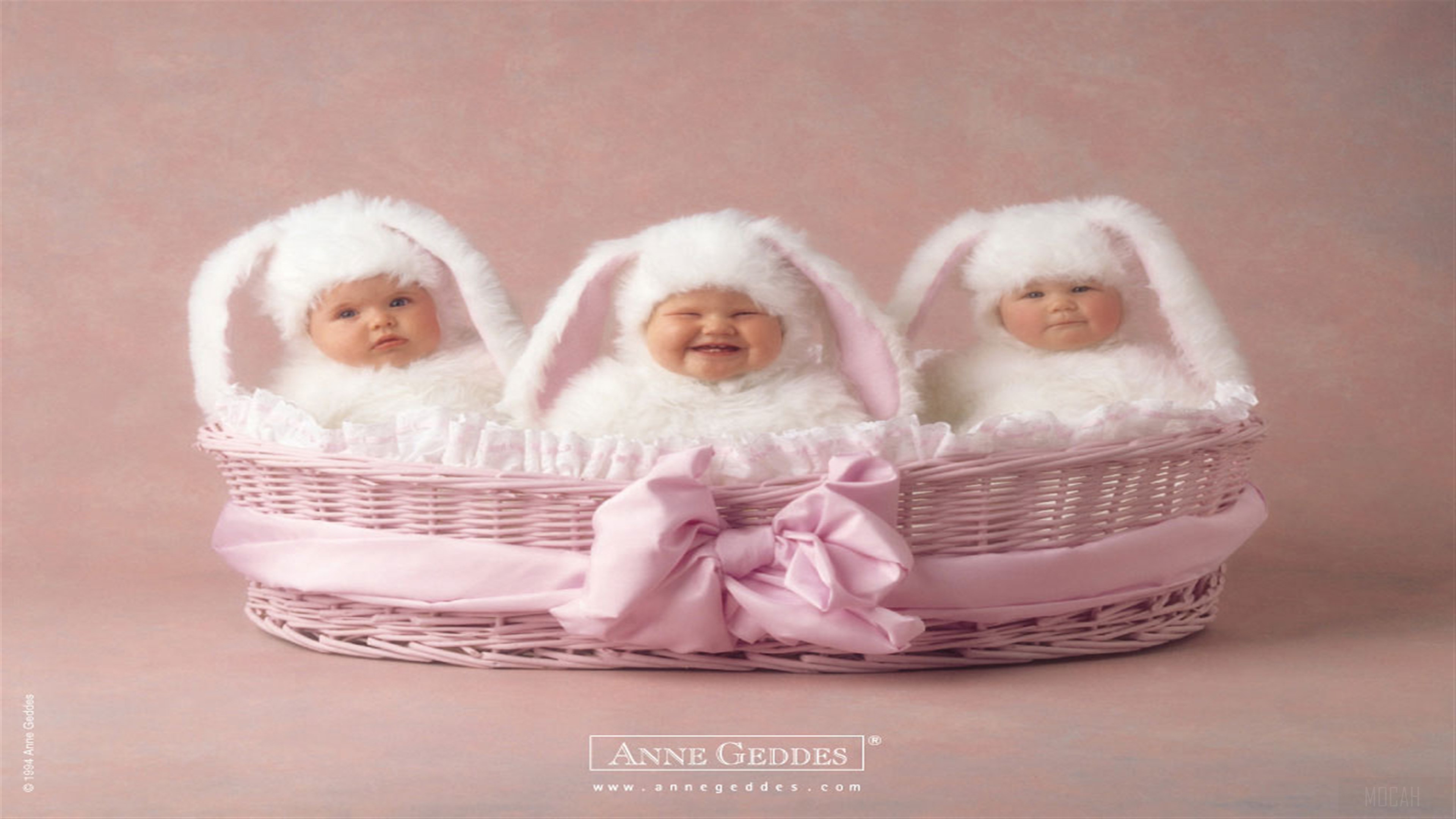 Three Babies in Bunny Costumes in a Basket HD Wallpaper