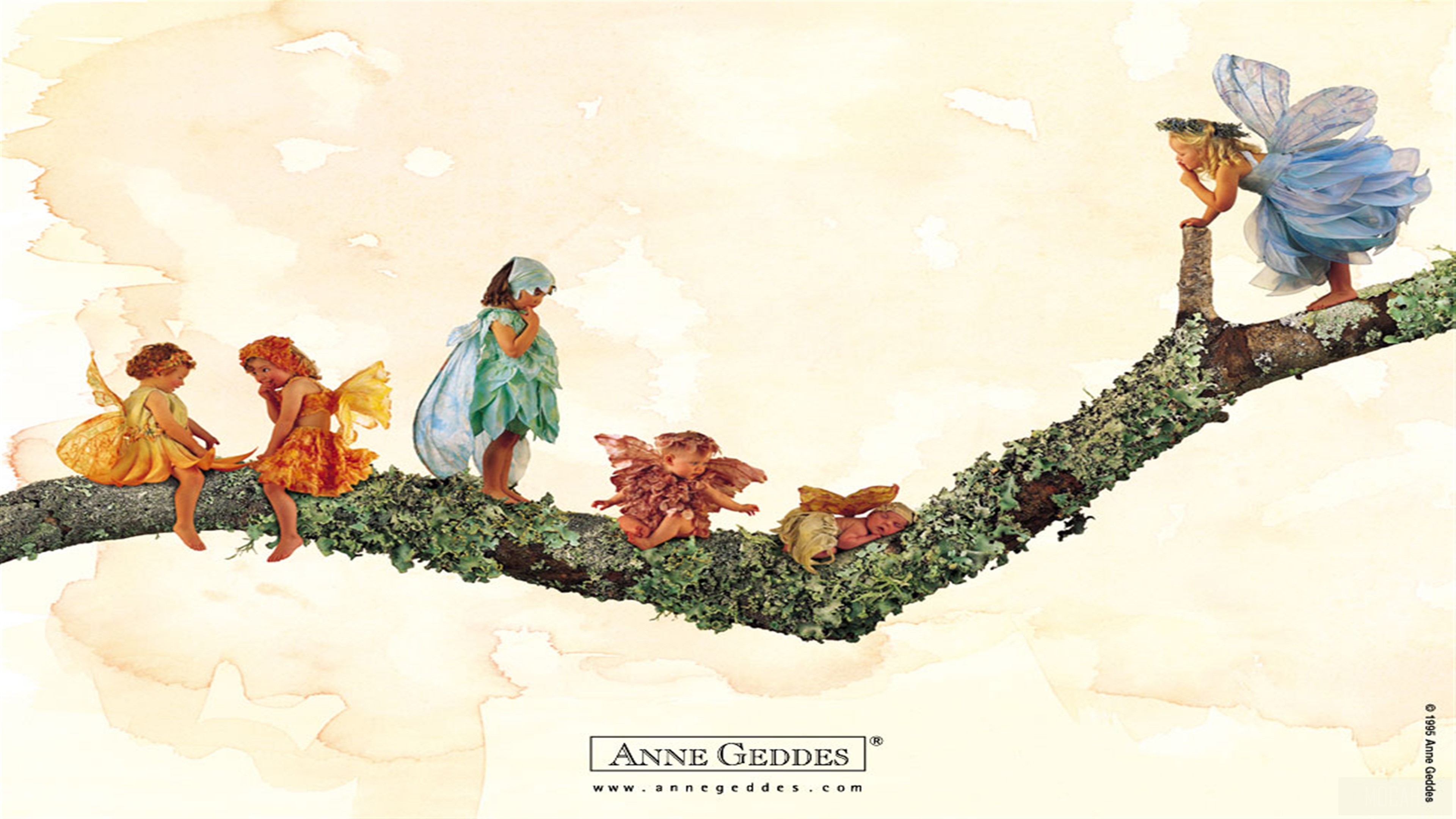 Anne Geddes Baby Fairies on a Branch 4K HD Wallpaper