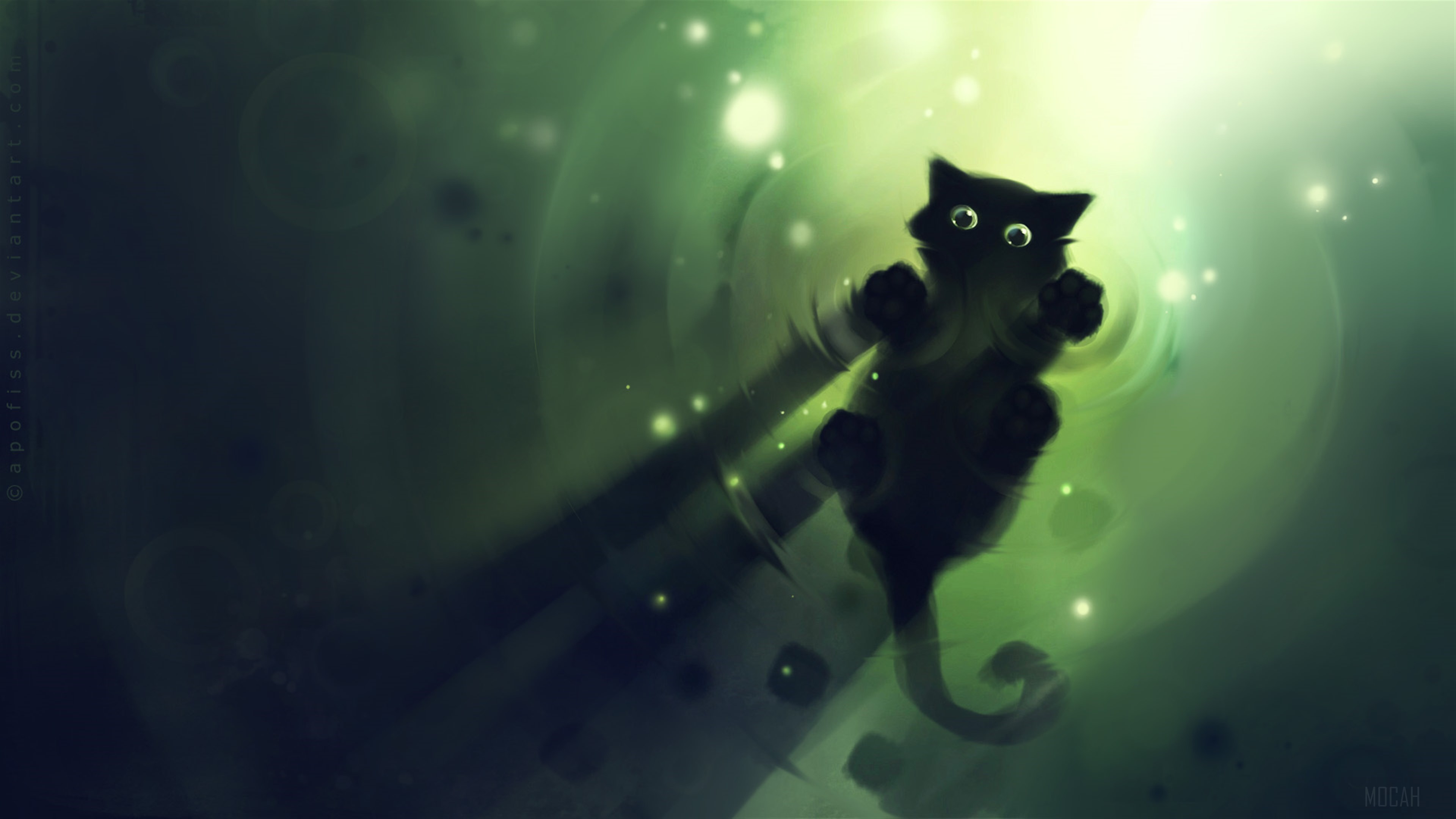 Cute Black Cat 4K HD Wallpaper