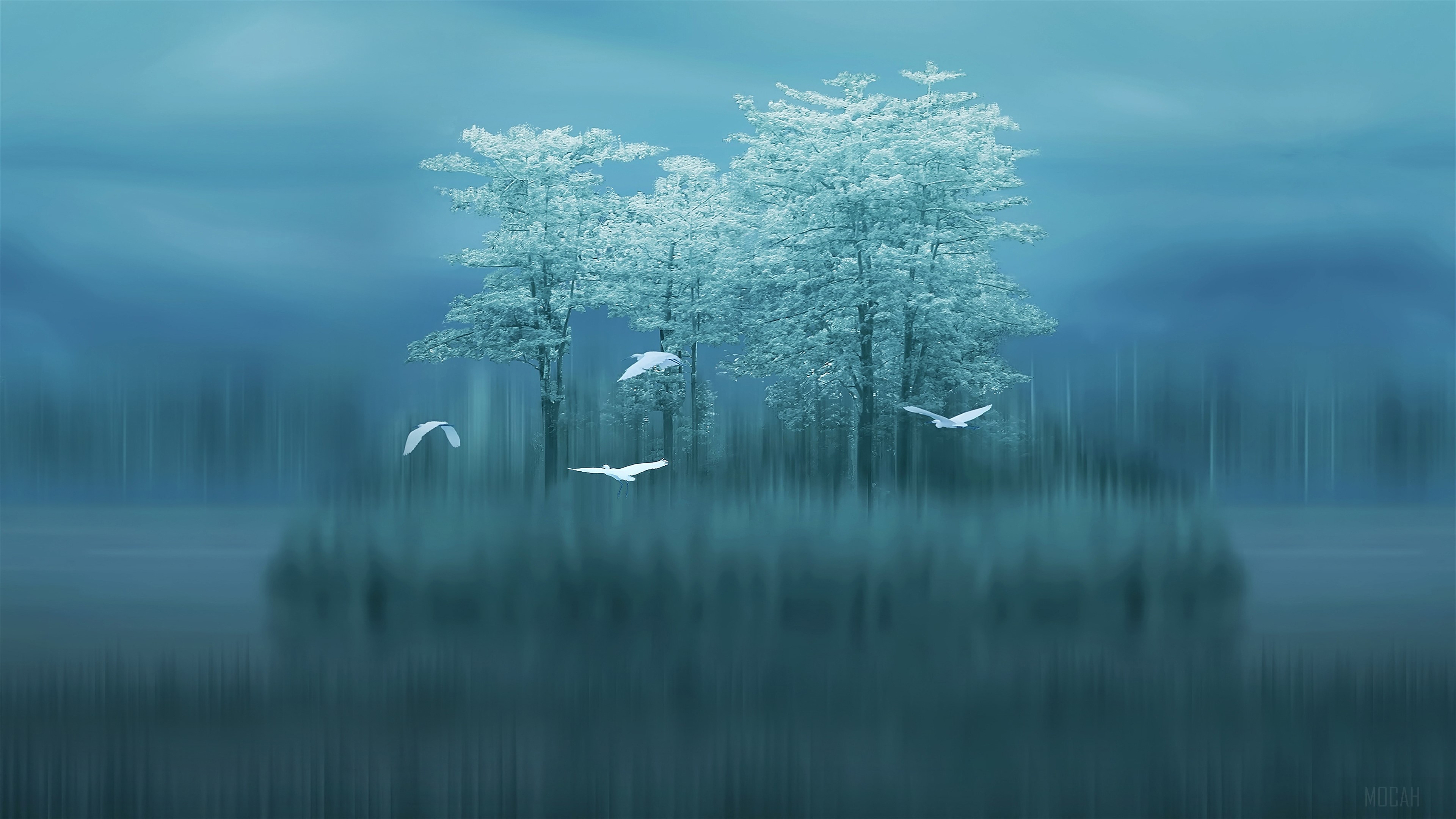Birds flying over a lake with trees HD Wallpaper