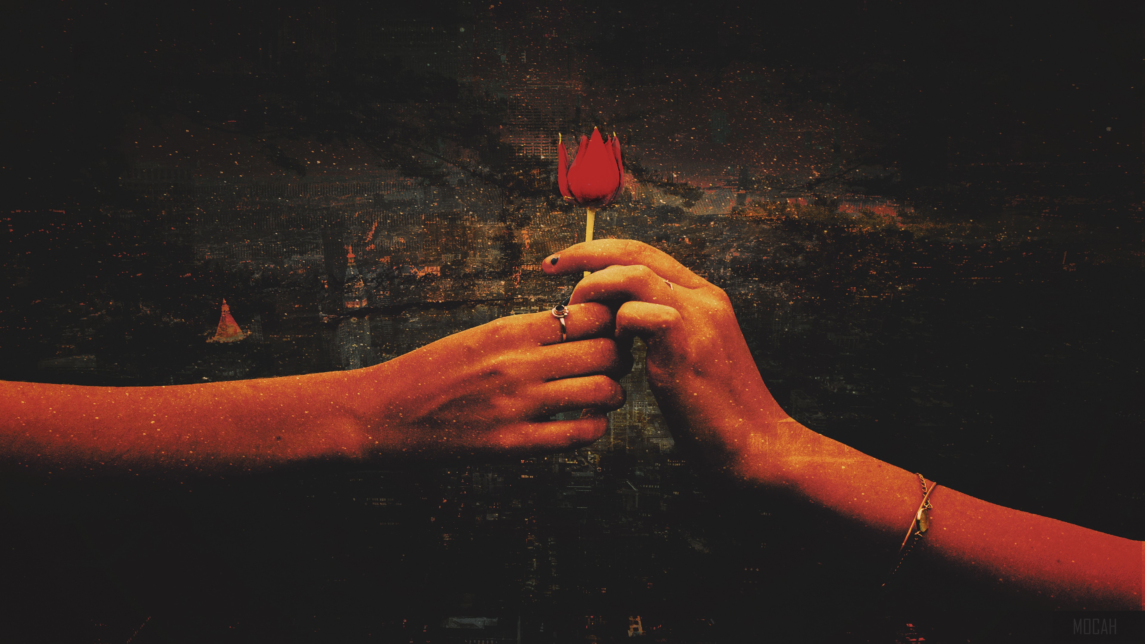 Red Rose Love Proposal HD Wallpaper