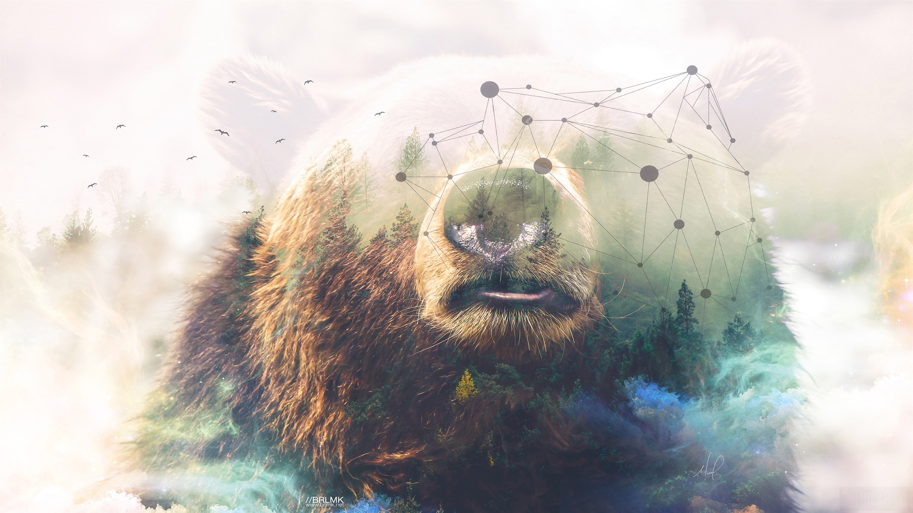 Grizzly Bear Double Exposure Forest 4K HD Wallpaper