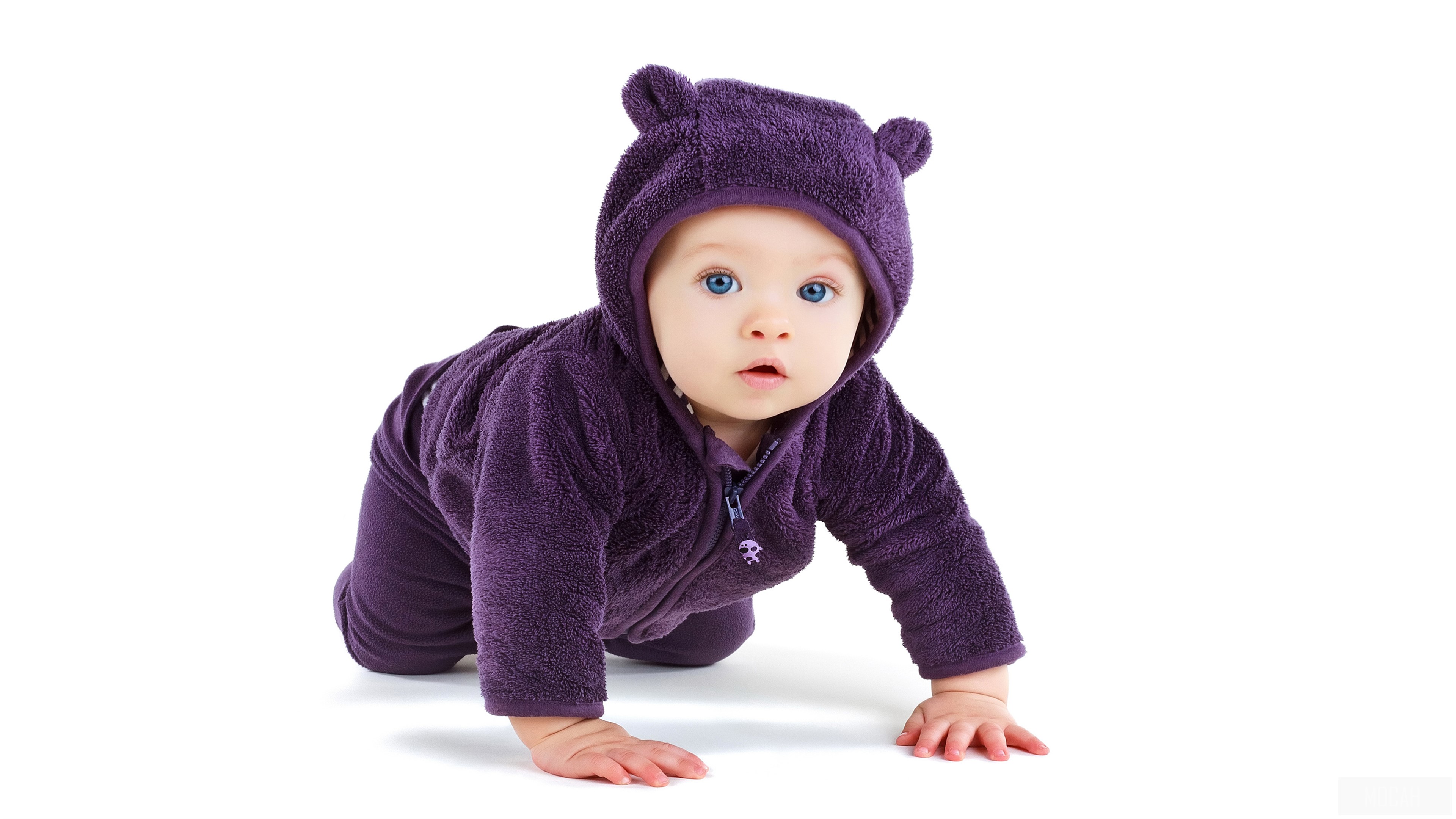 Cute Baby in Purple Bear Costume Crawling HD Wallpaper