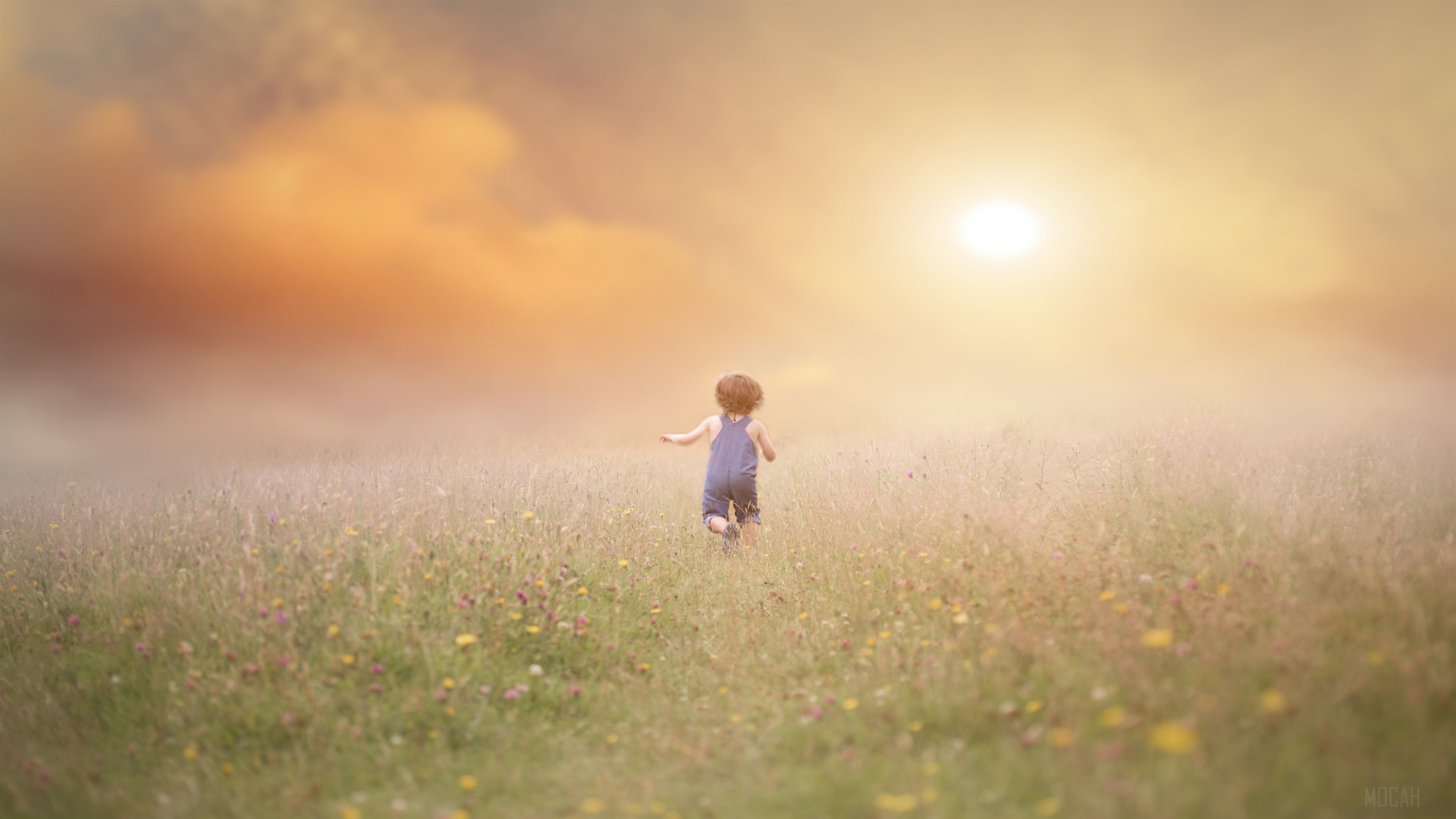 Child running in a field at sunset 4K HD Wallpaper