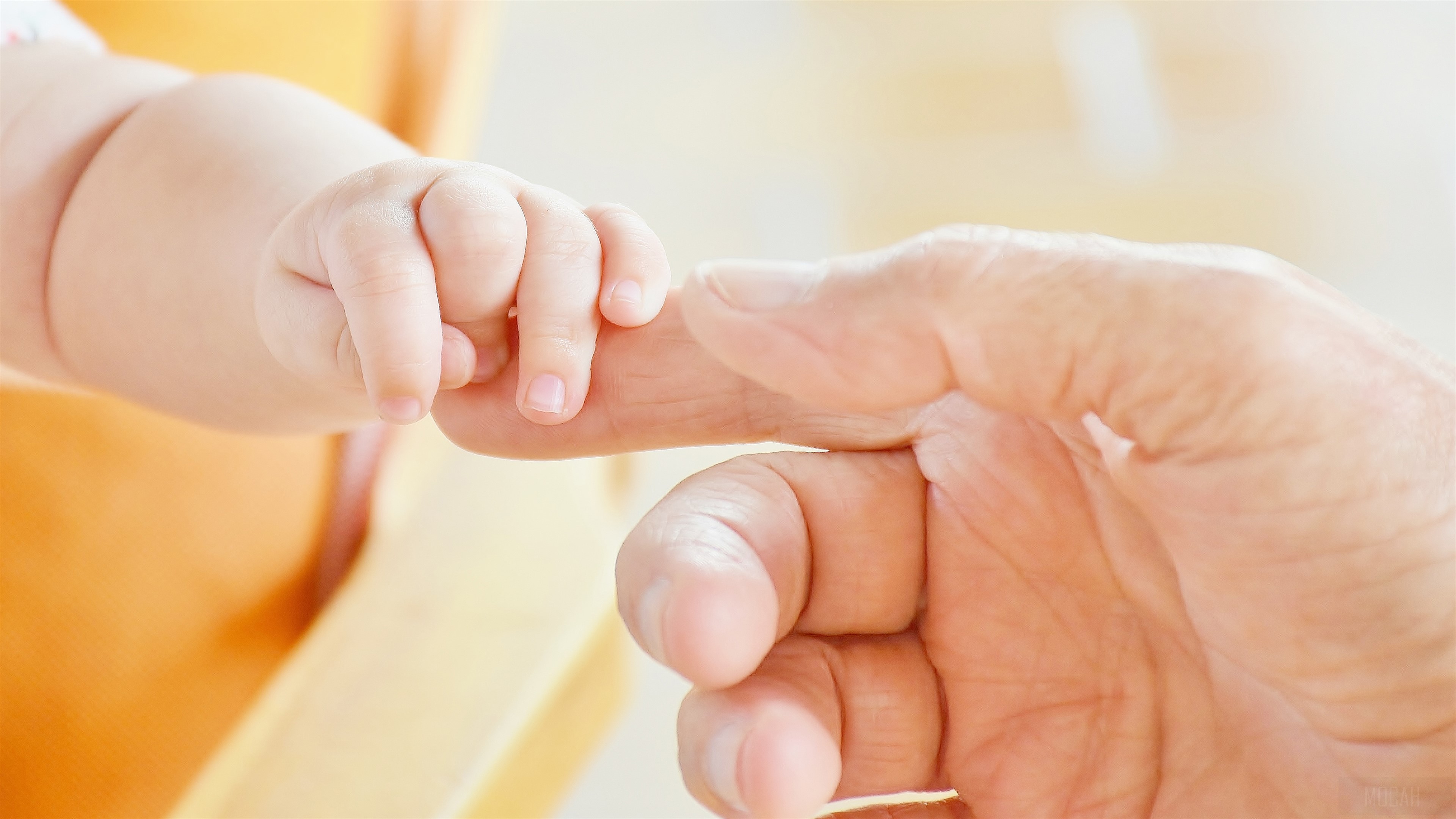 Baby's Hand Holding Adult's Finger HD Wallpaper