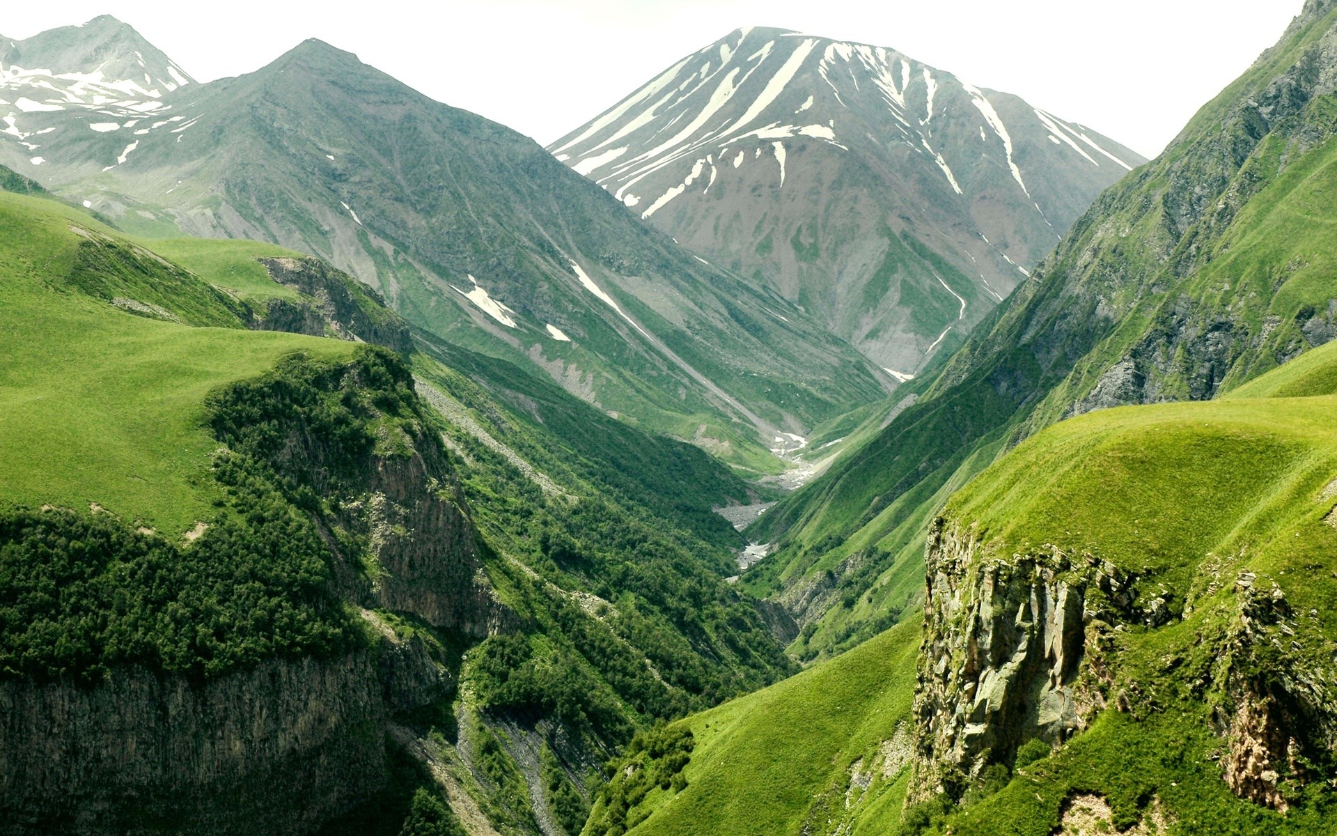 Green mountain valley with snow-capped peaks HD Wallpaper