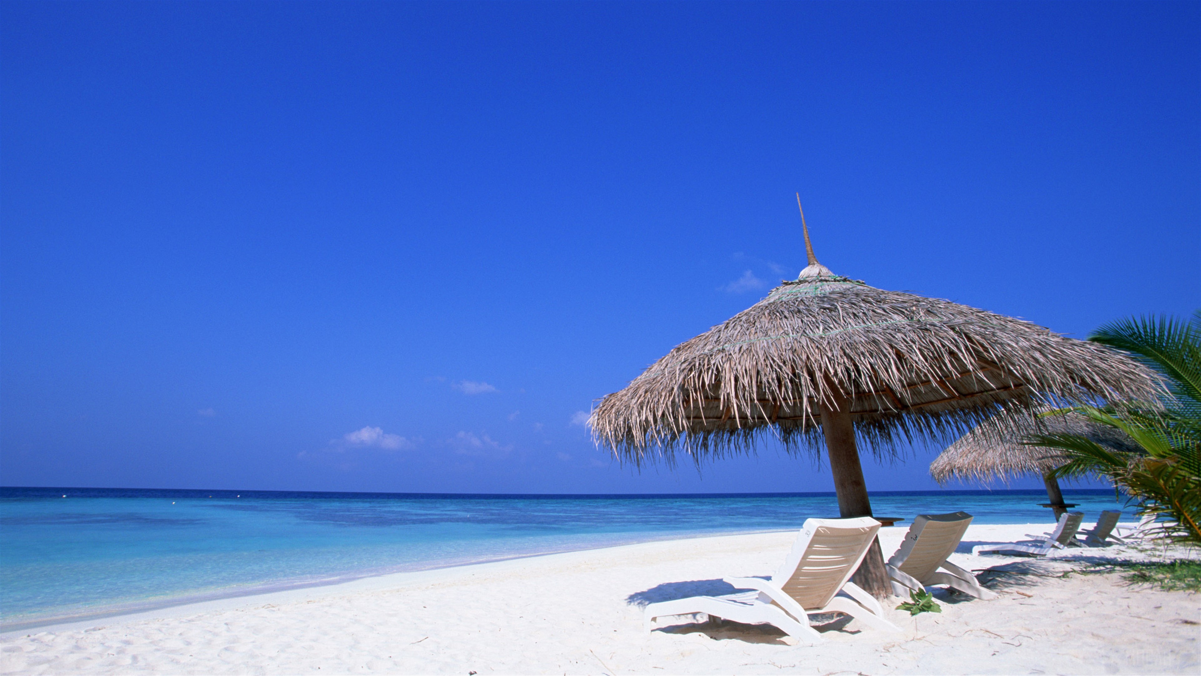 Beach with lounge chairs and umbrellas HD Wallpaper