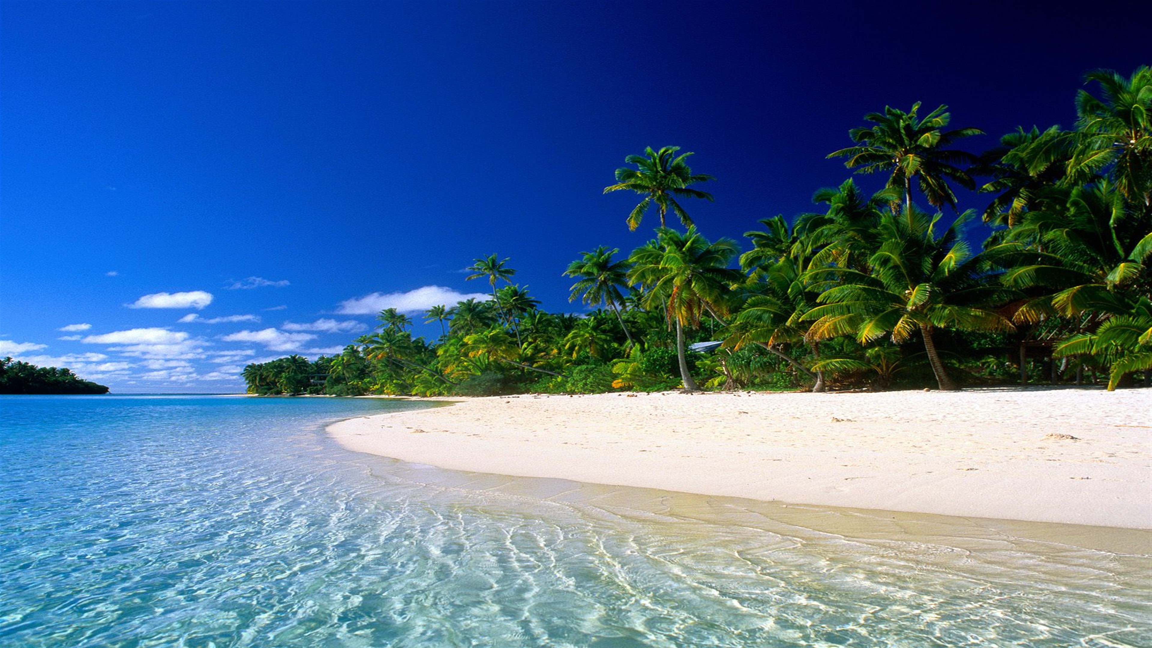 Tropical beach with palm trees and clear blue water HD Wallpaper