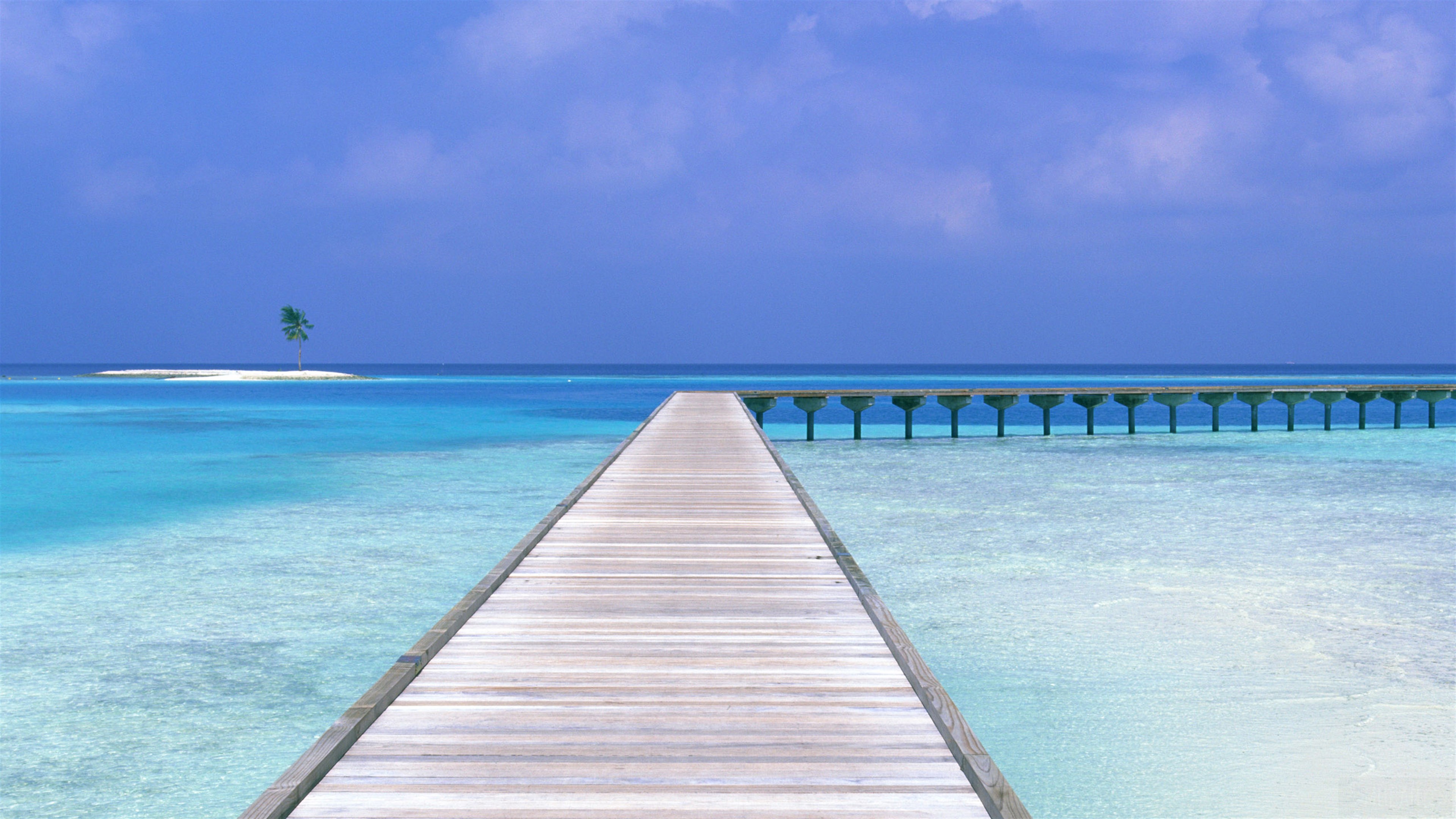 Wooden pier over turquoise water with island and palm tree HD Wallpaper