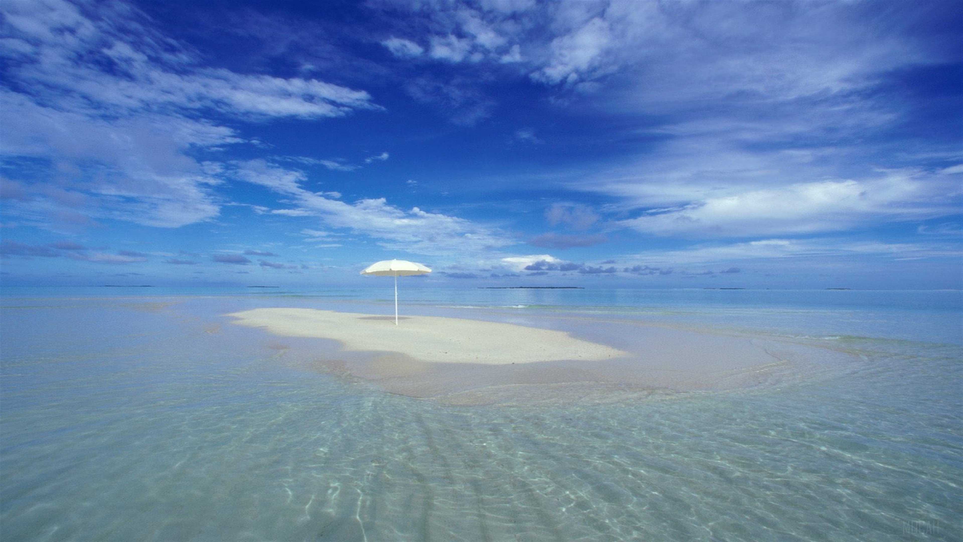 Tropical Oasis HD Wallpaper