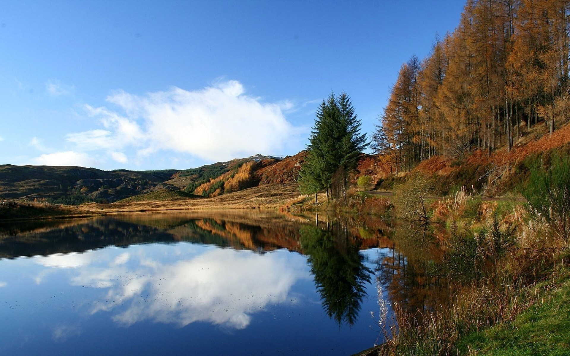 Autumn forest reflected in a calm lake under a blue sky HD Wallpaper