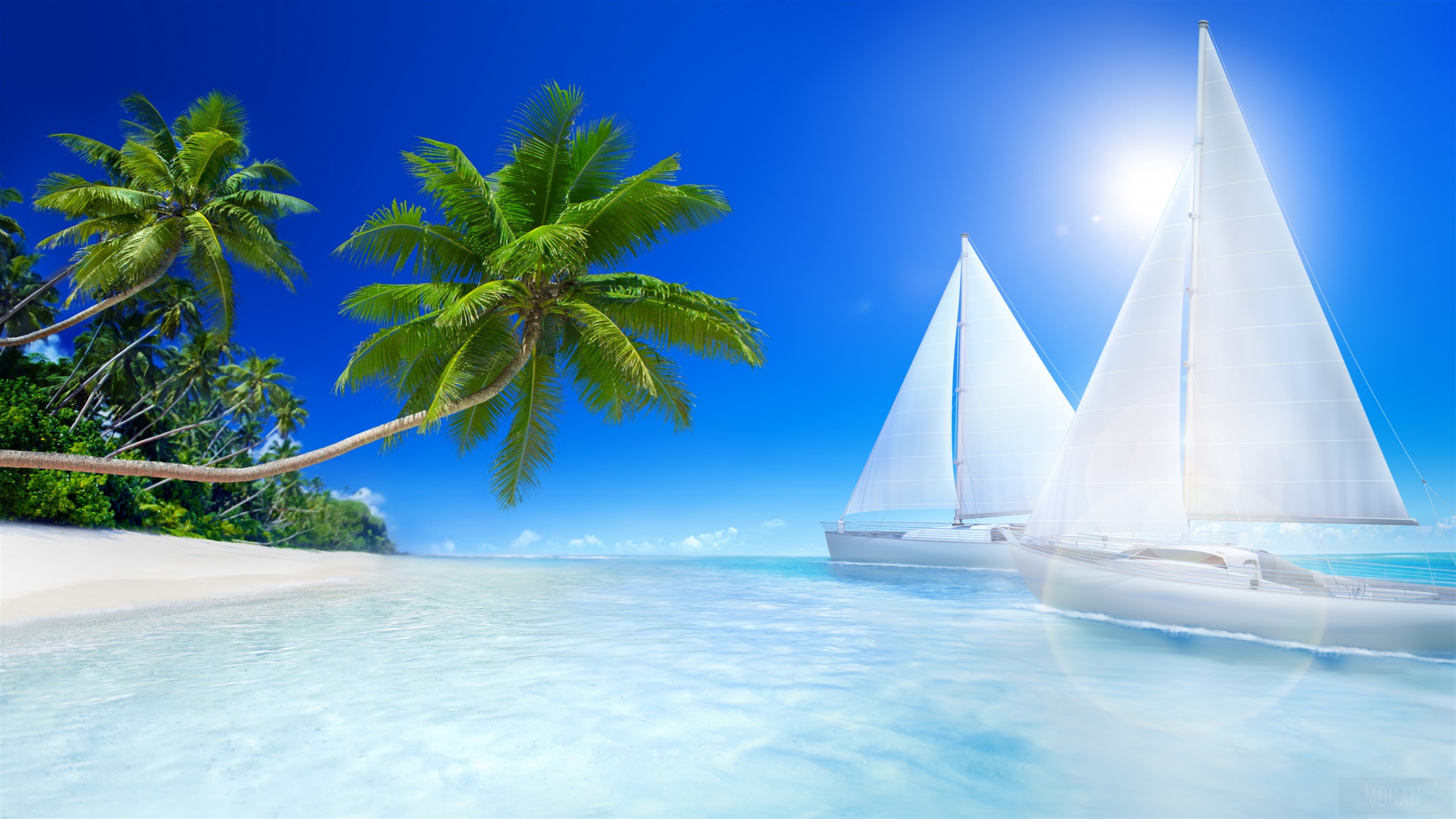 Tropical Beach with Palm Trees and Sailboats 4K HD Wallpaper