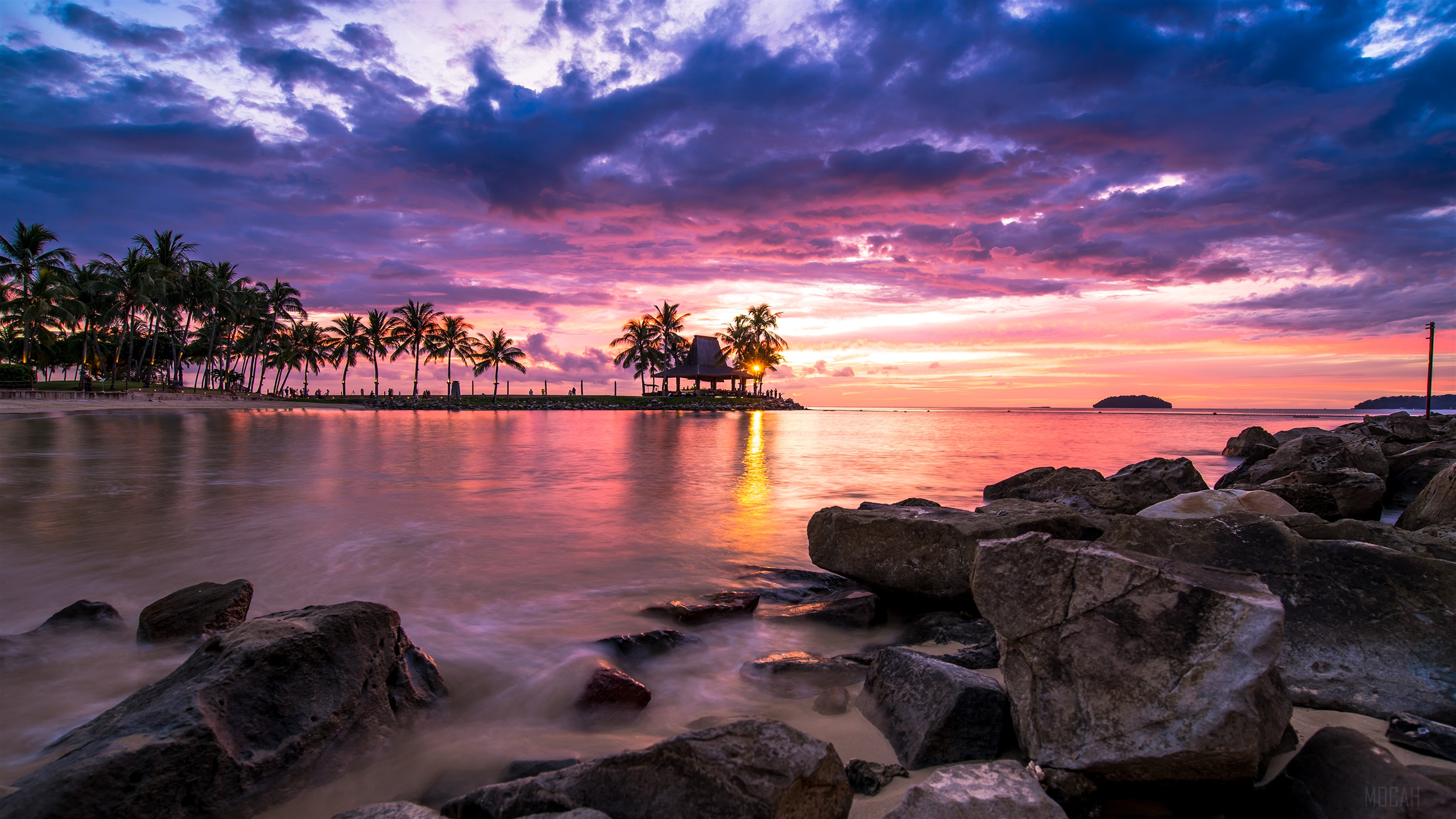 Beach resort sunset with palm trees and ocean HD Wallpaper