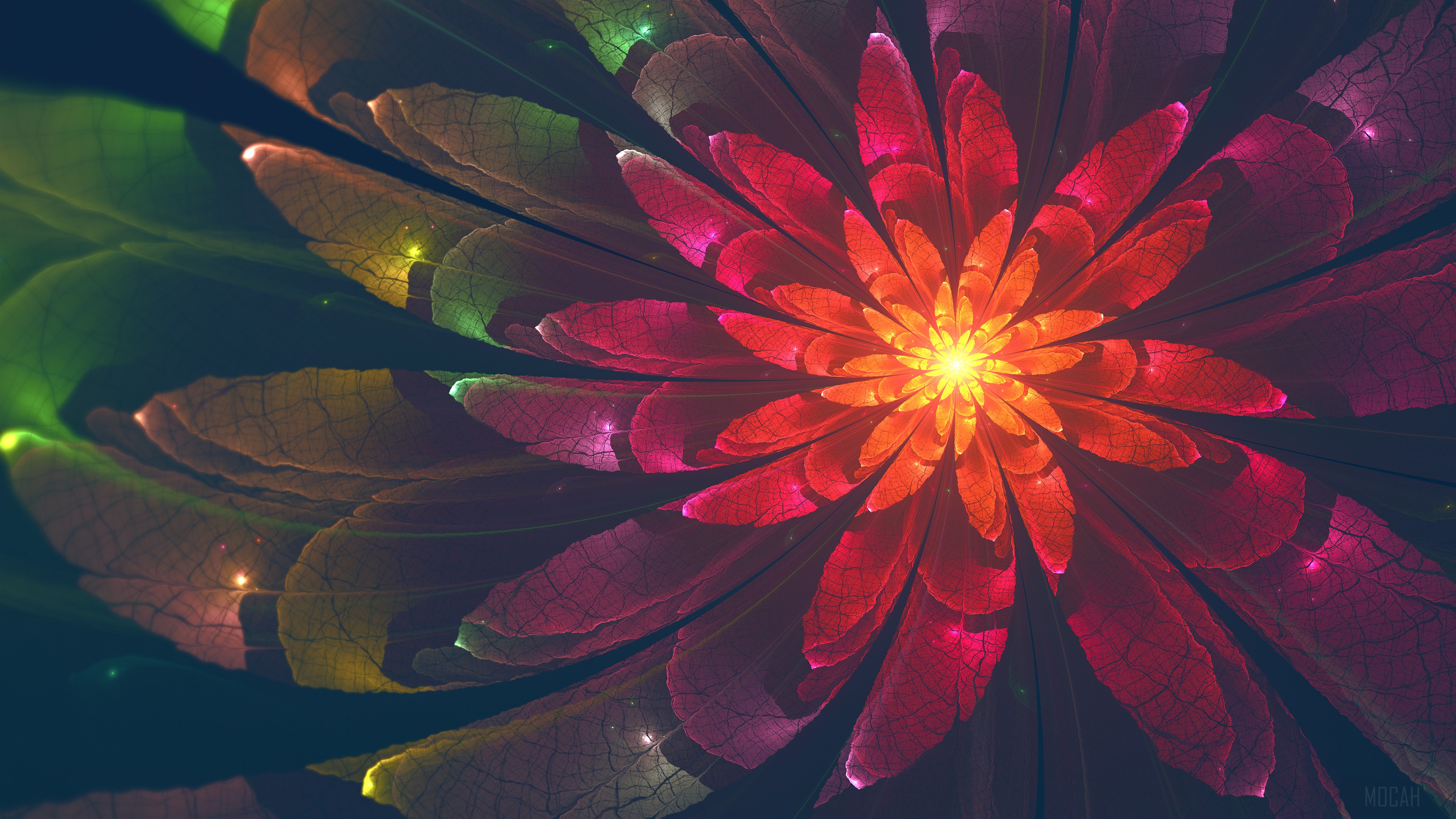 Fractal Flower HD Wallpaper
