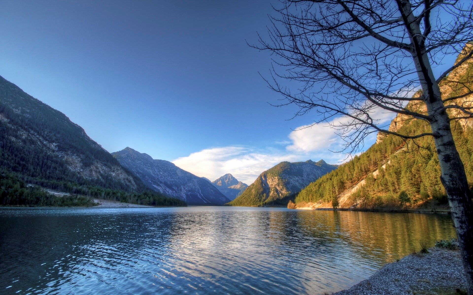 Lake and mountains with a tree in the foreground HD Wallpaper