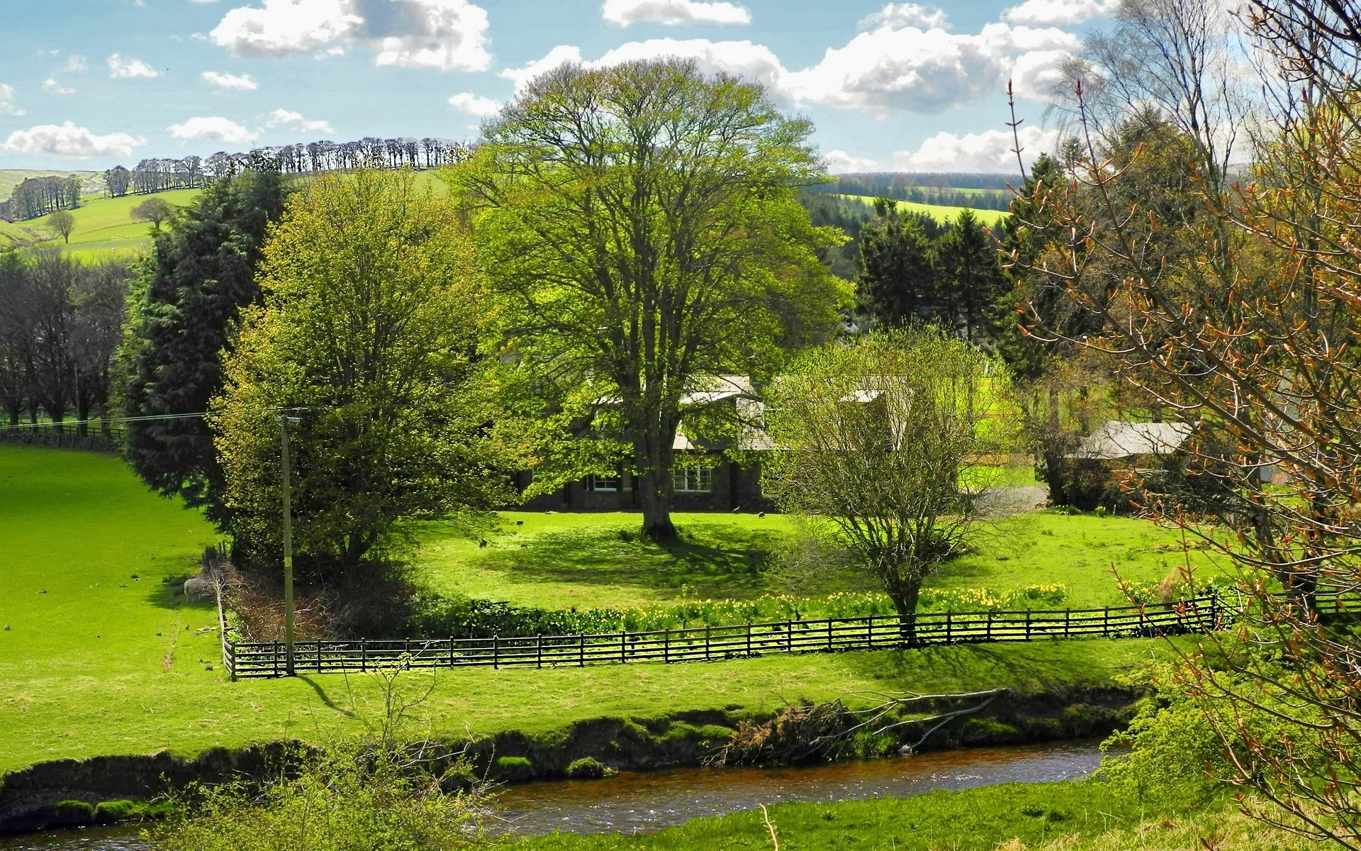 A house nestled among trees with a stream in the foreground HD Wallpaper