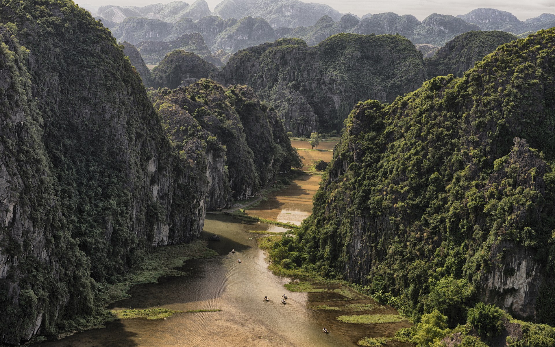 Karst landscape with river and rice paddies HD Wallpaper