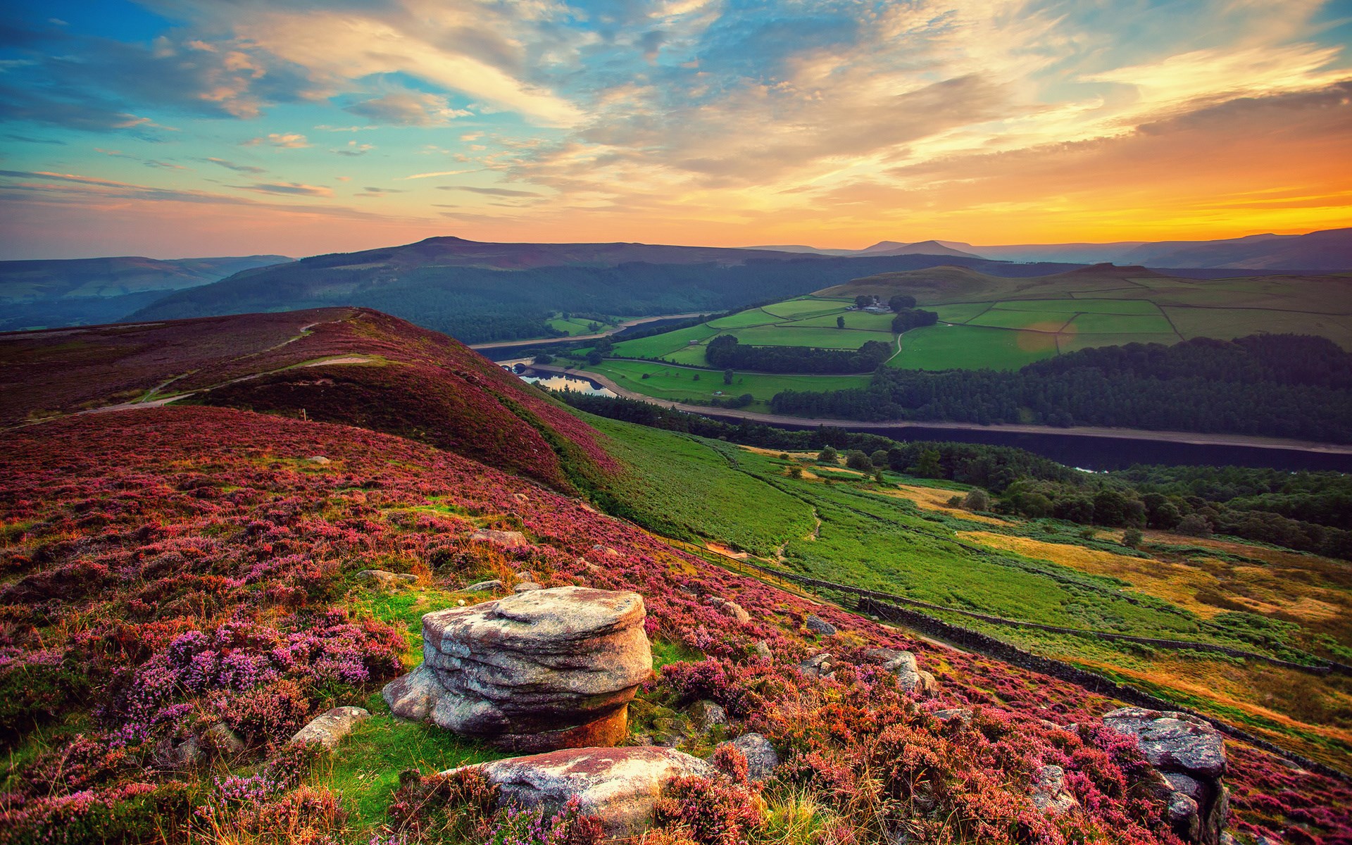 Rolling hills with heather and a valley at sunset HD Wallpaper