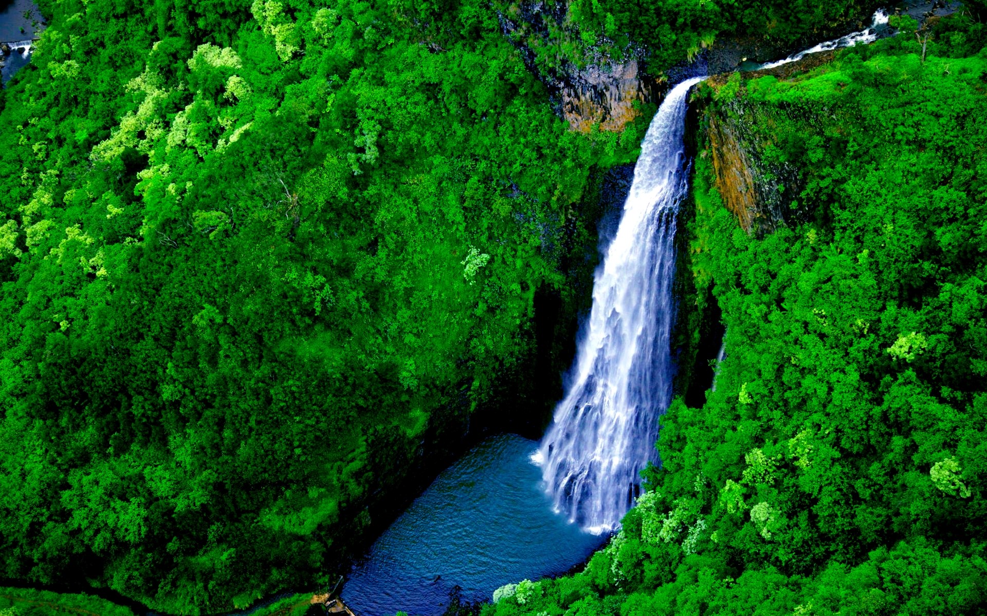 Waterfall cascading into a blue pool surrounded by green forest HD Wallpaper
