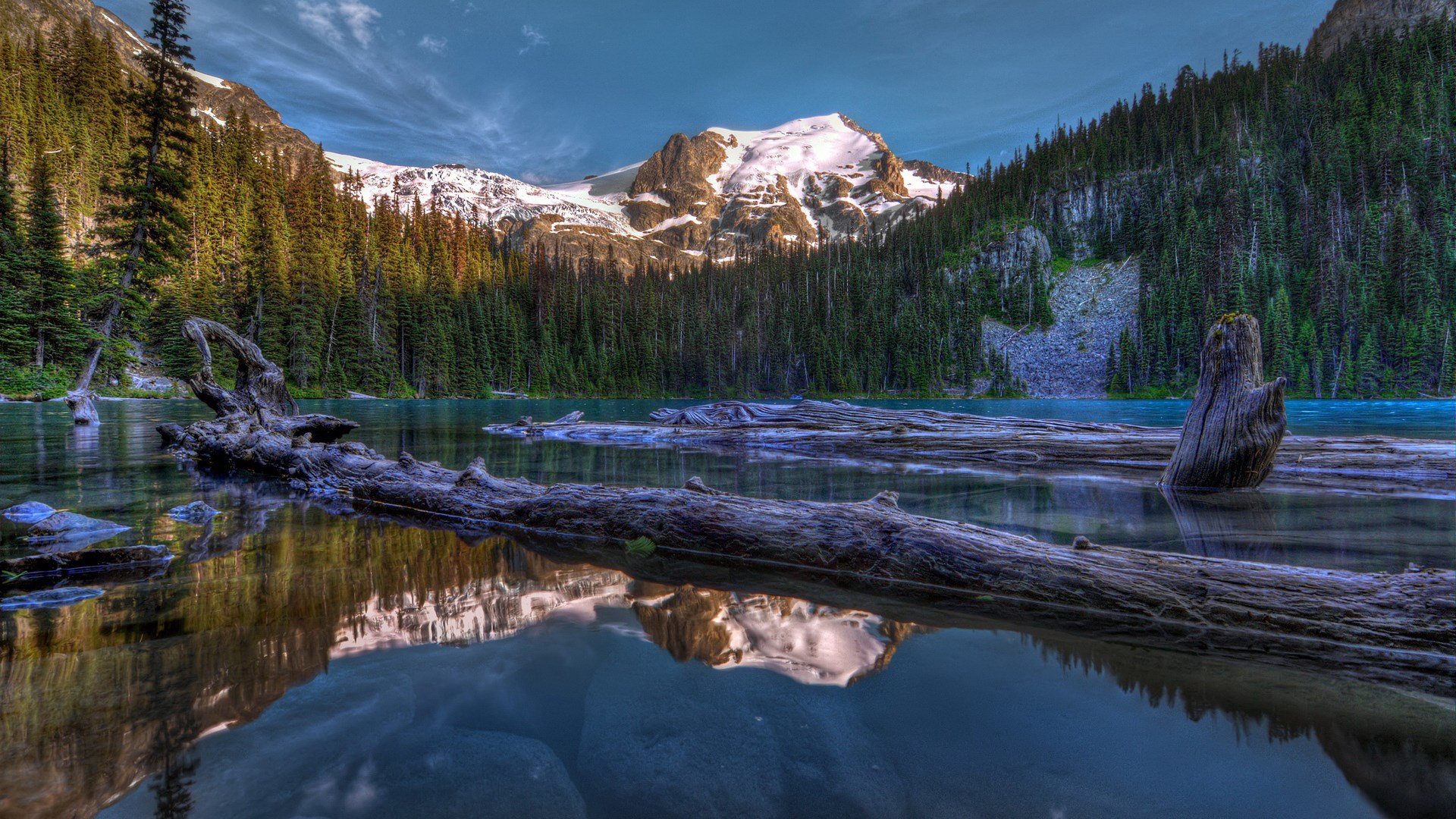 Lake with fallen logs and snow-capped mountains HD Wallpaper
