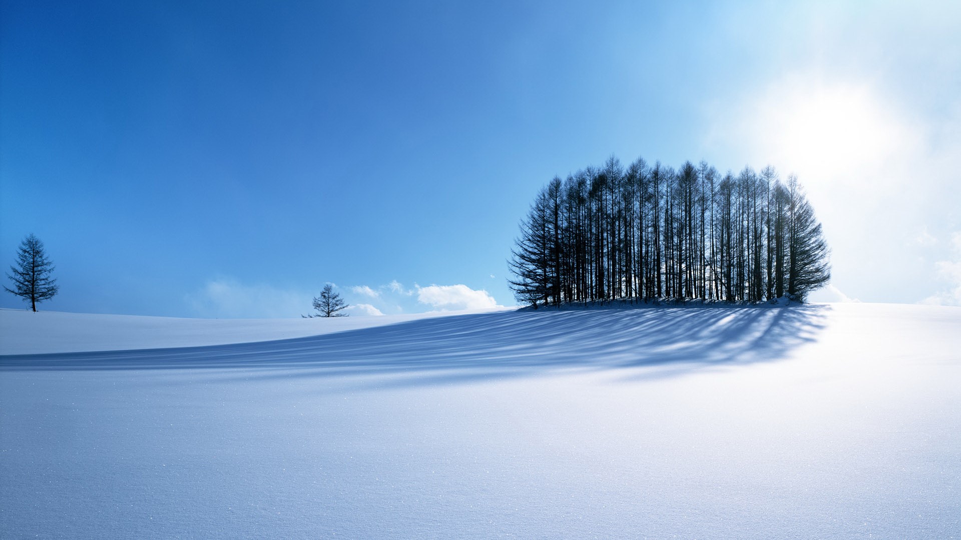 Snowy landscape with trees and shadows HD Wallpaper