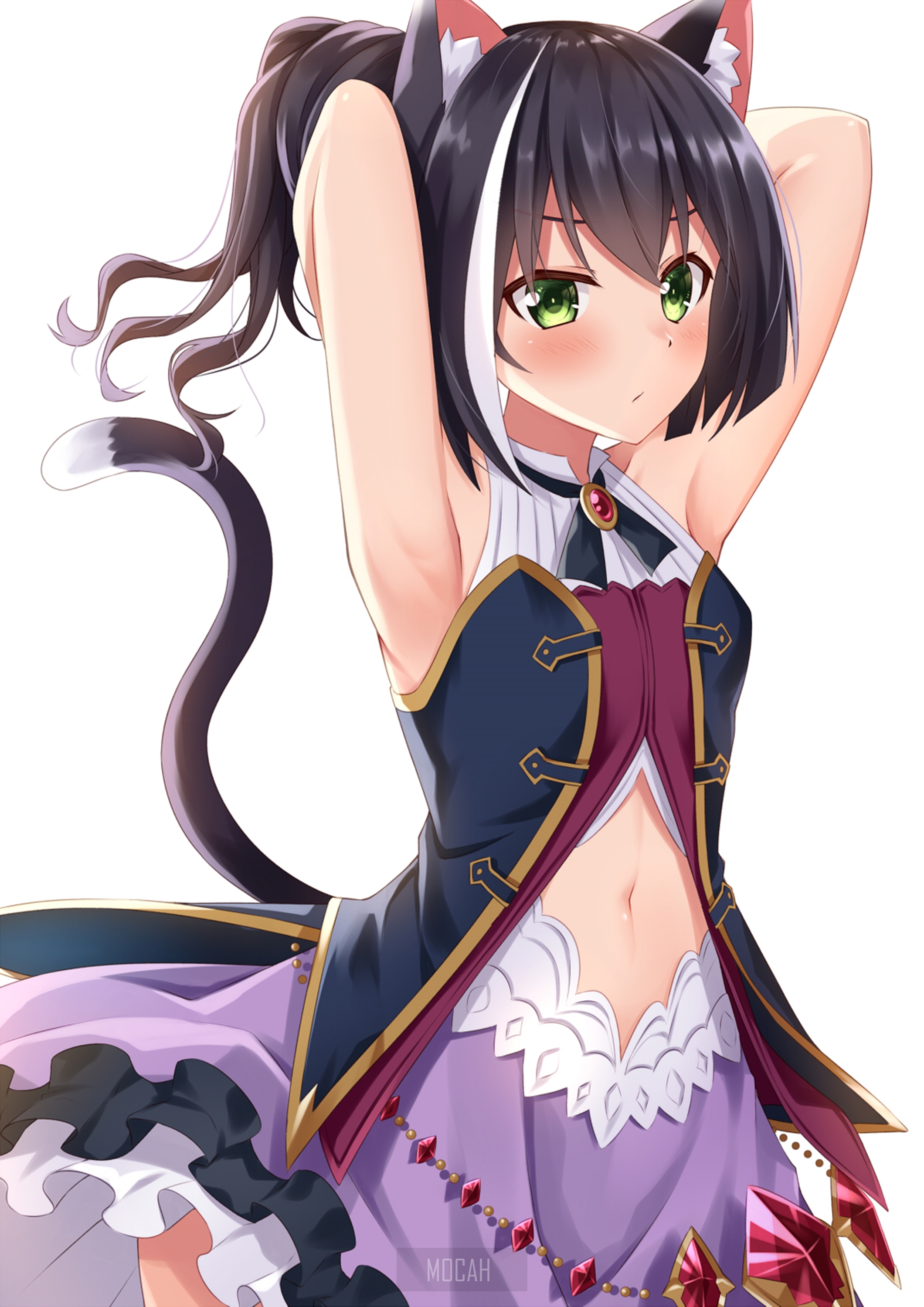Kyaru from Princess Connect in Elegant Outfit HD Phone Wallpaper