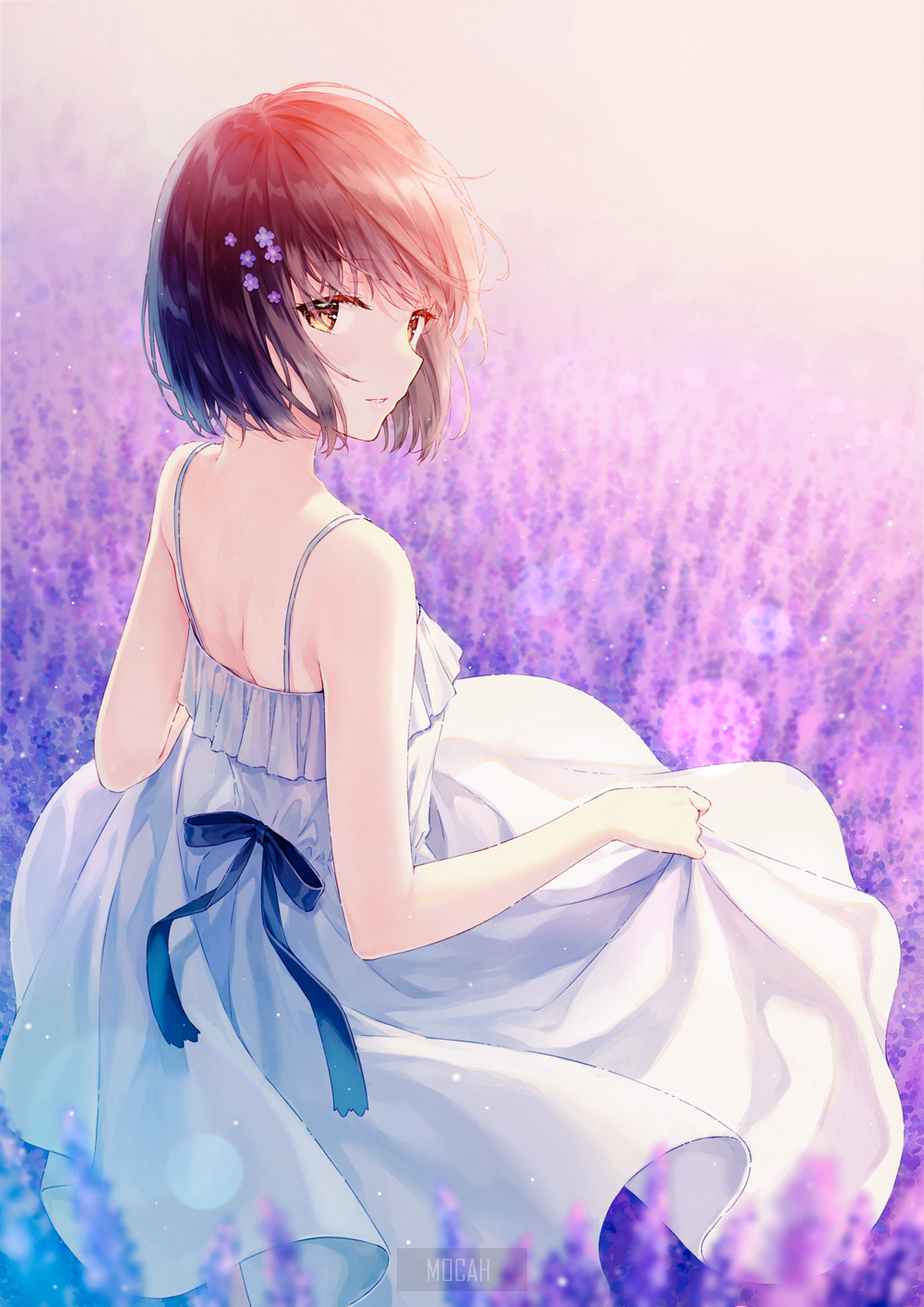 Anime girl in a white dress in a lavender field HD Phone Wallpaper