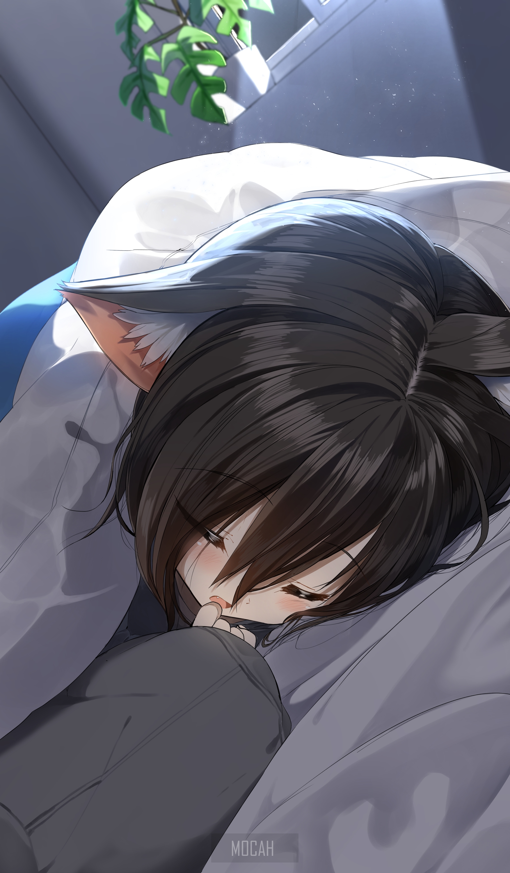 Anime girl with cat ears sleeping HD Phone Wallpaper