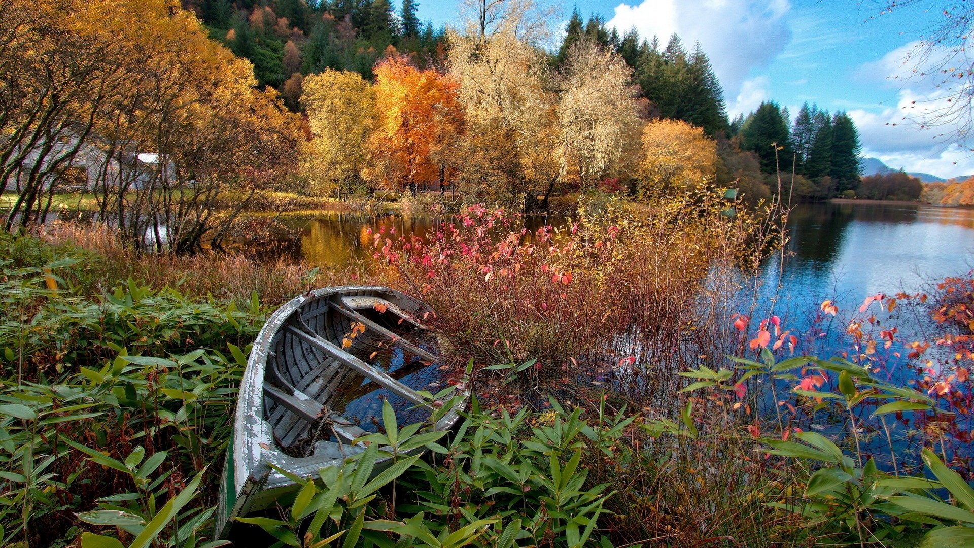 Old rowboat by a lake in autumn HD Wallpaper