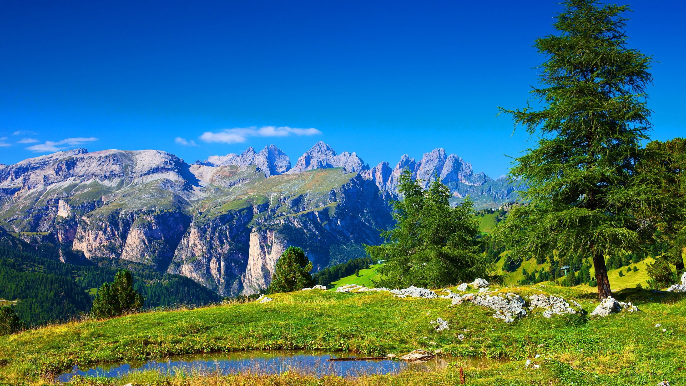 Mountain landscape with a pond and trees HD Wallpaper