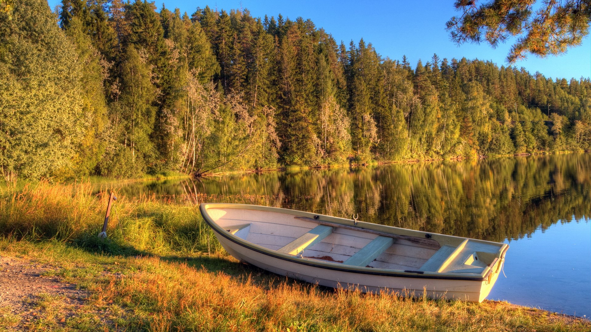 Rowboat on a lake shore with forest background HD Wallpaper
