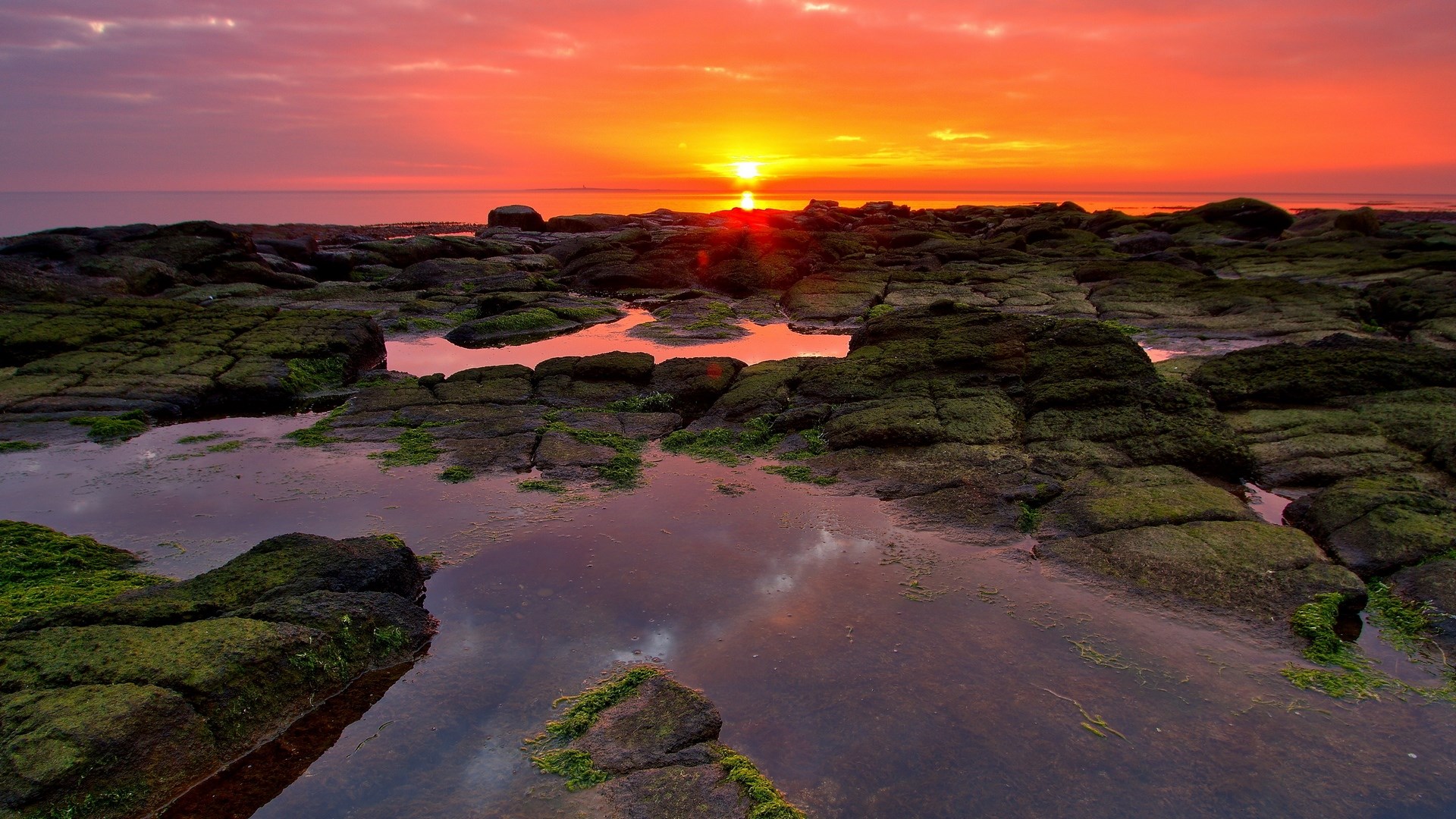 Rocky coastline at sunset with tide pools HD Wallpaper