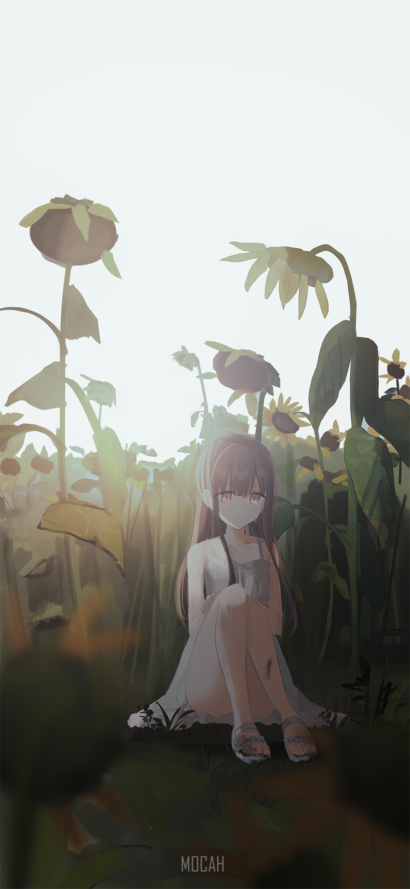 Anime girl with pink hair sitting in a sunflower field HD Phone Wallpaper