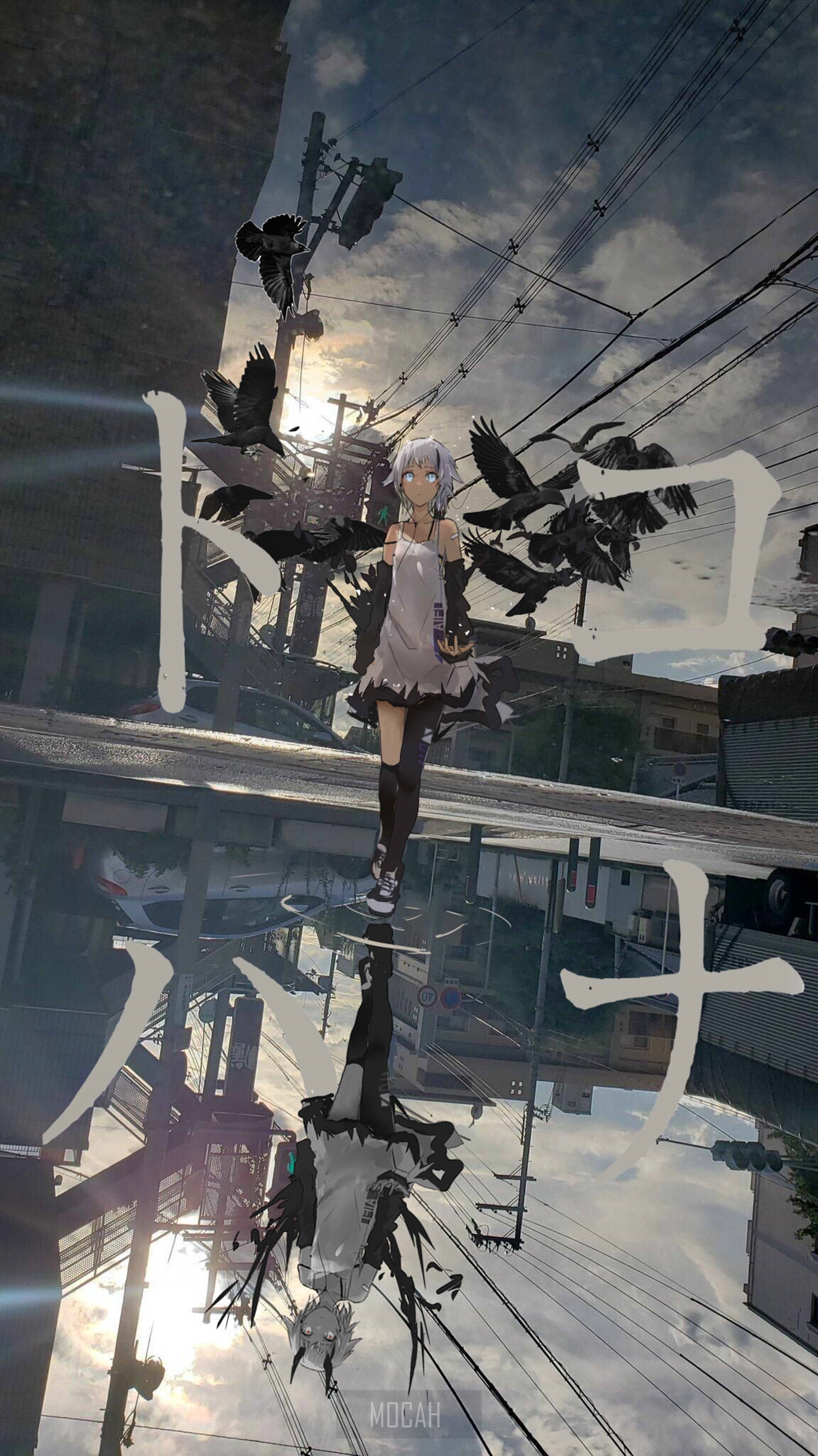 Anime girl with crows and Japanese text HD Phone Wallpaper