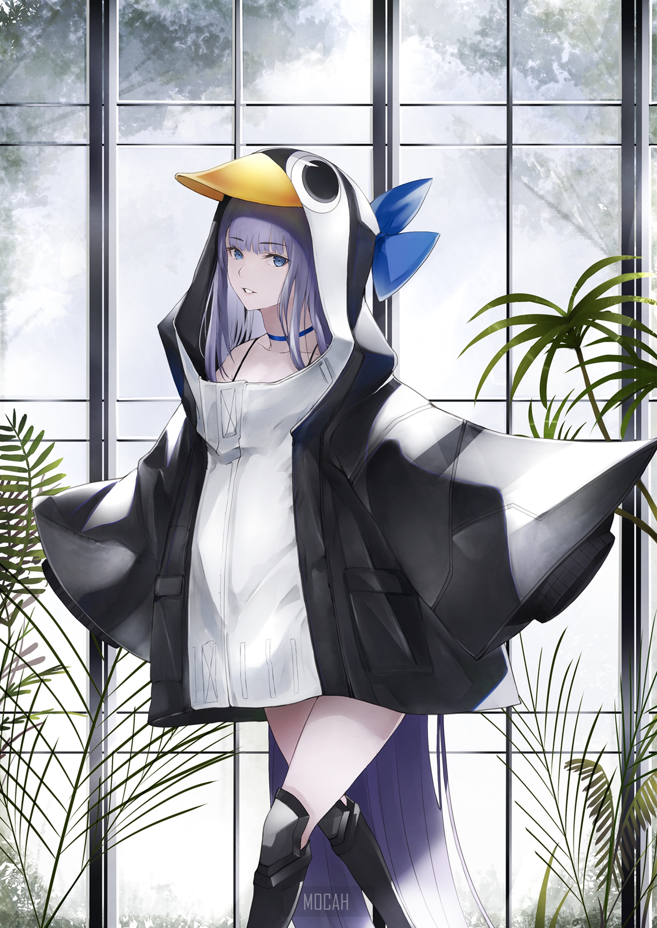 Meltryllis from Fate/Grand Order in a penguin costume HD Phone Wallpaper