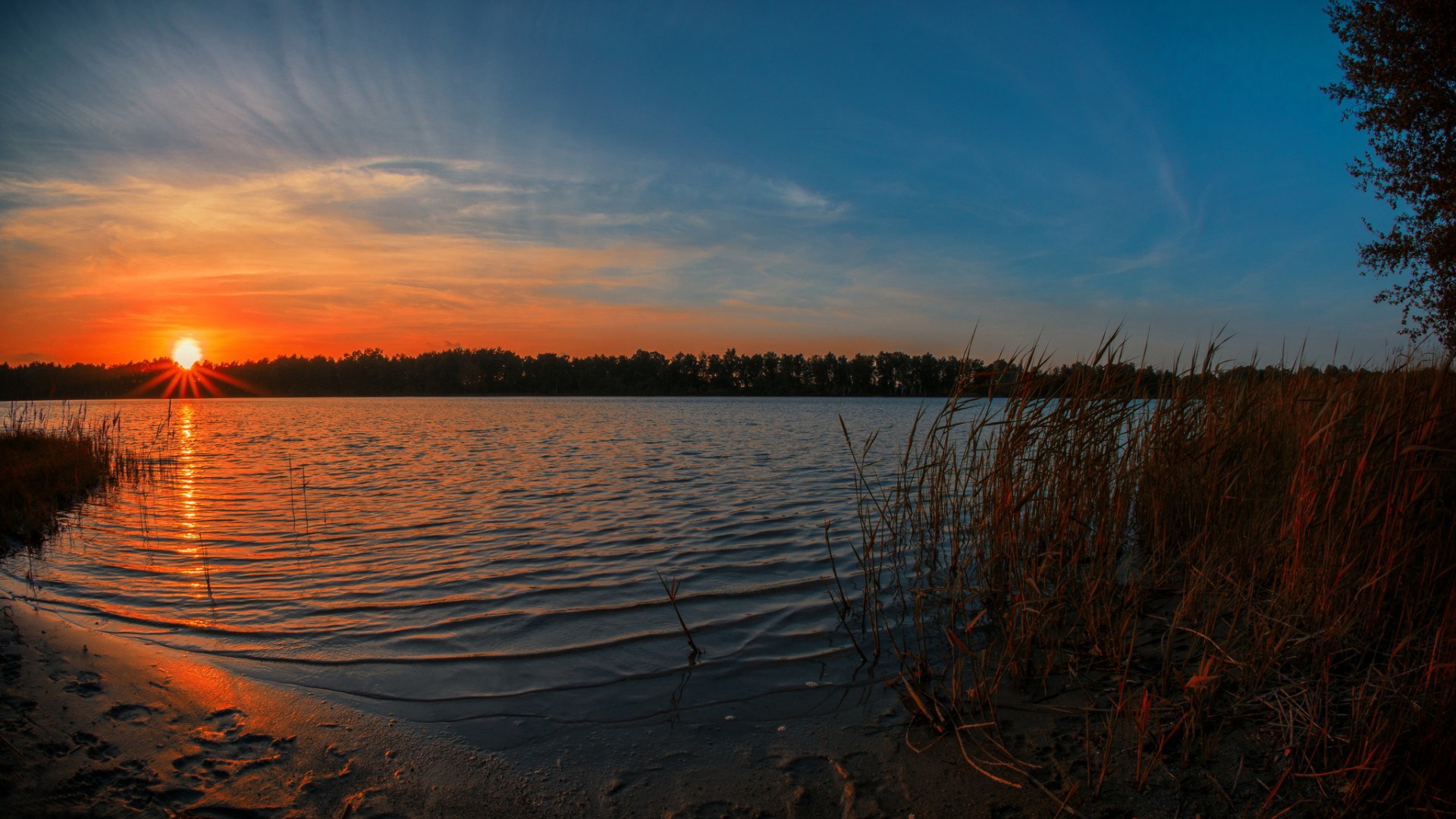 Sunset over a calm lake with reeds and sand HD Wallpaper