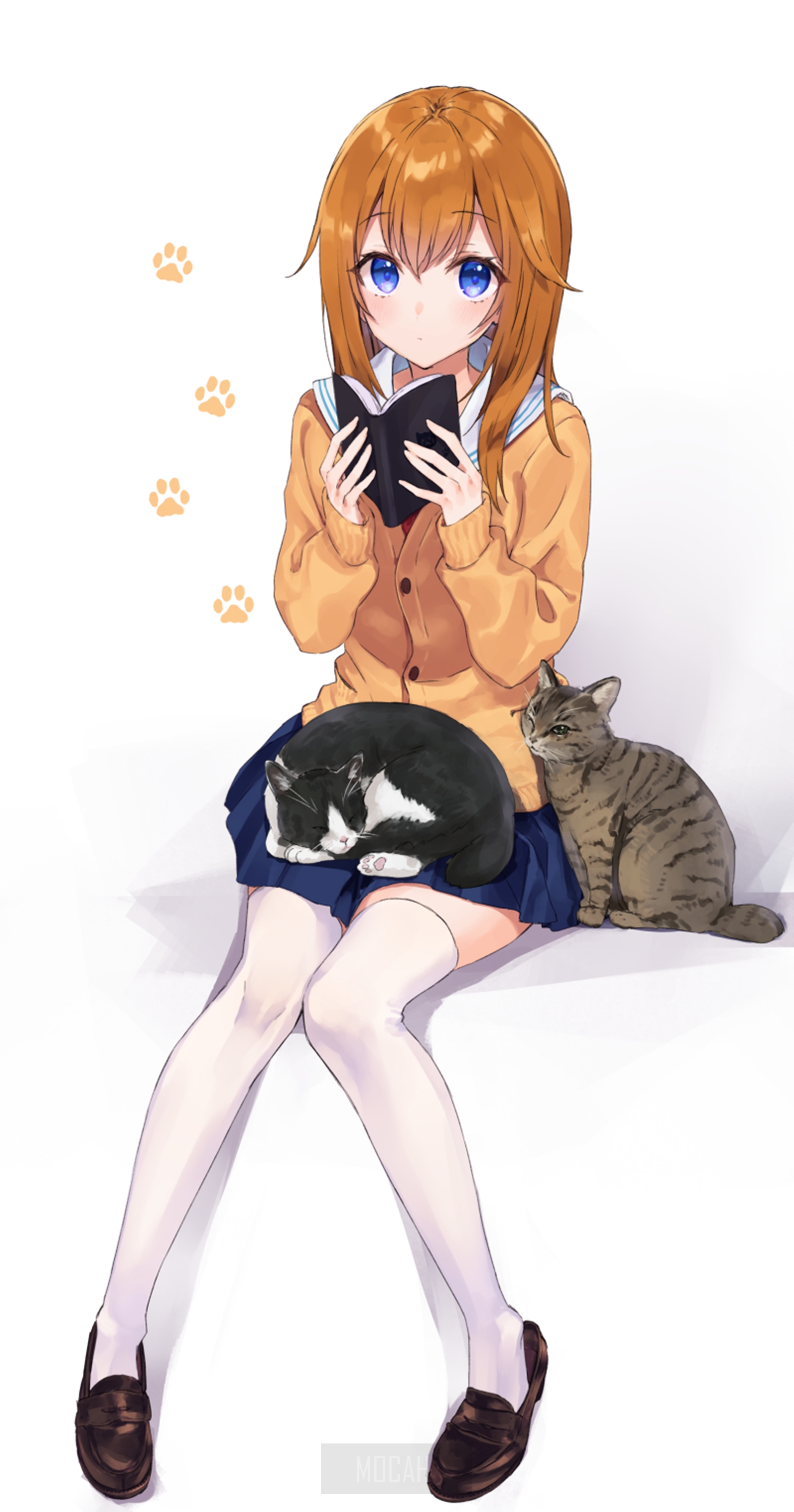 Anime girl reading with two cats HD Phone Wallpaper
