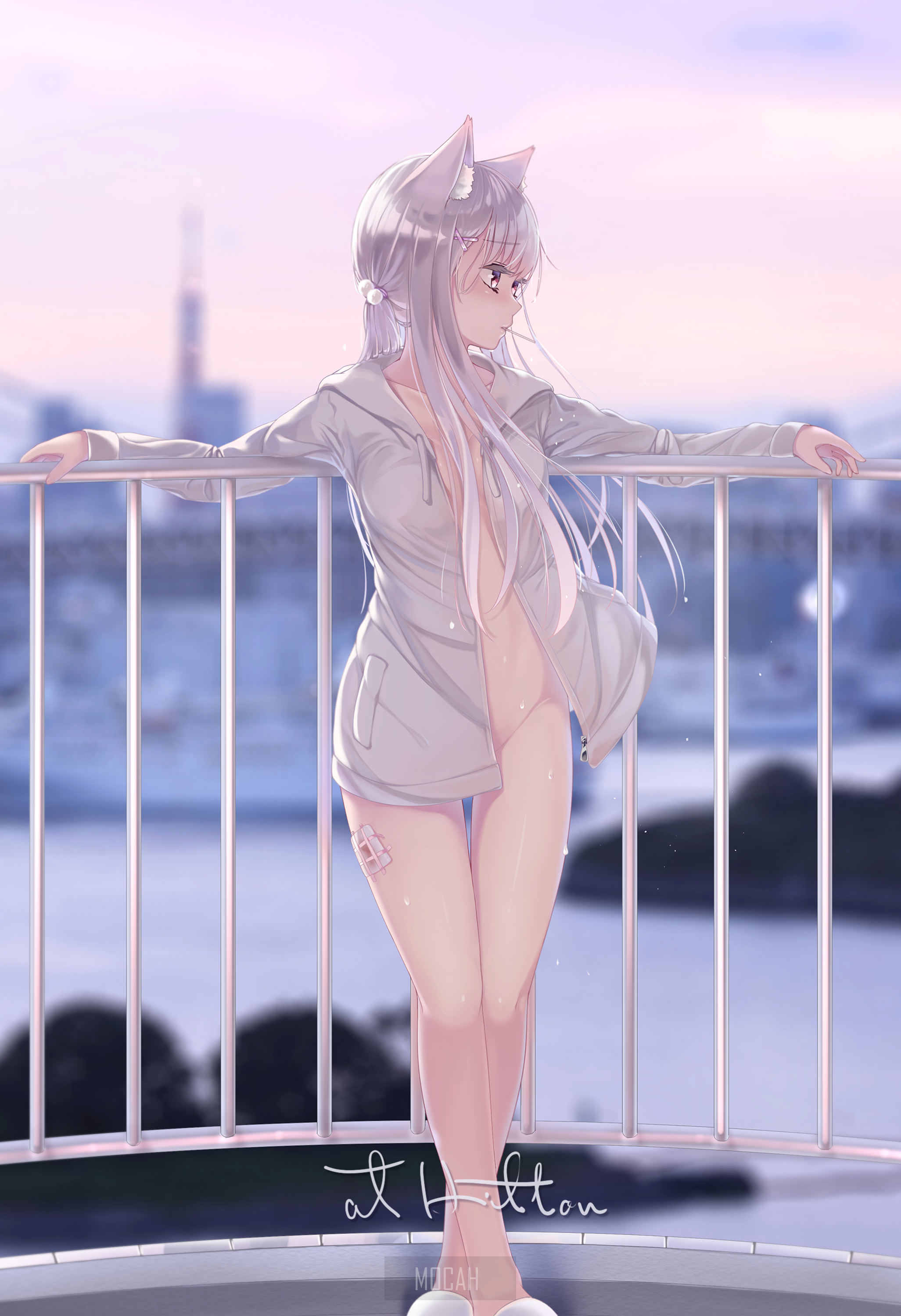 Anime girl with cat ears on balcony HD Phone Wallpaper