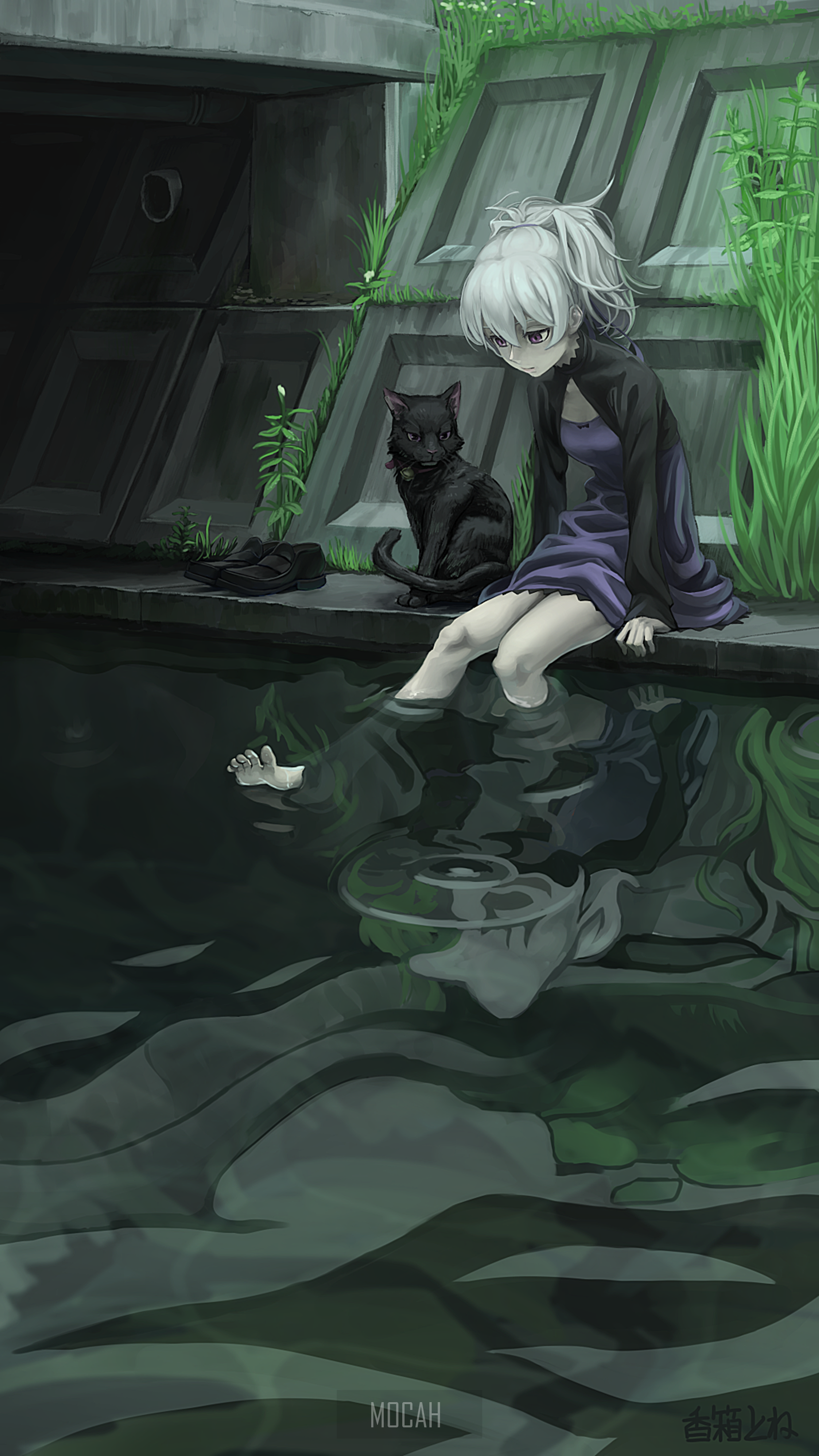 Yin and Mao from Darker than Black HD Phone Wallpaper