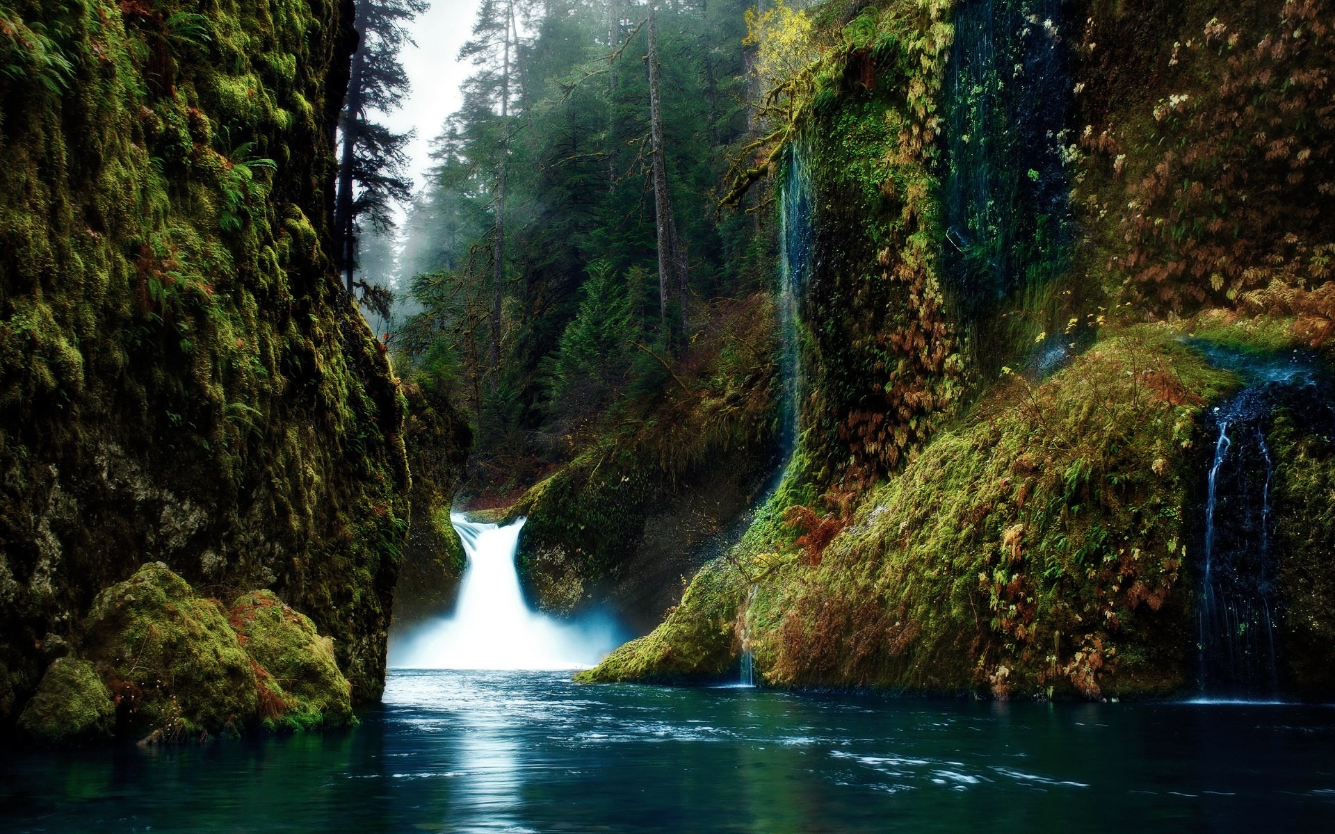 Mossy cliffs and waterfalls in a forest HD Wallpaper