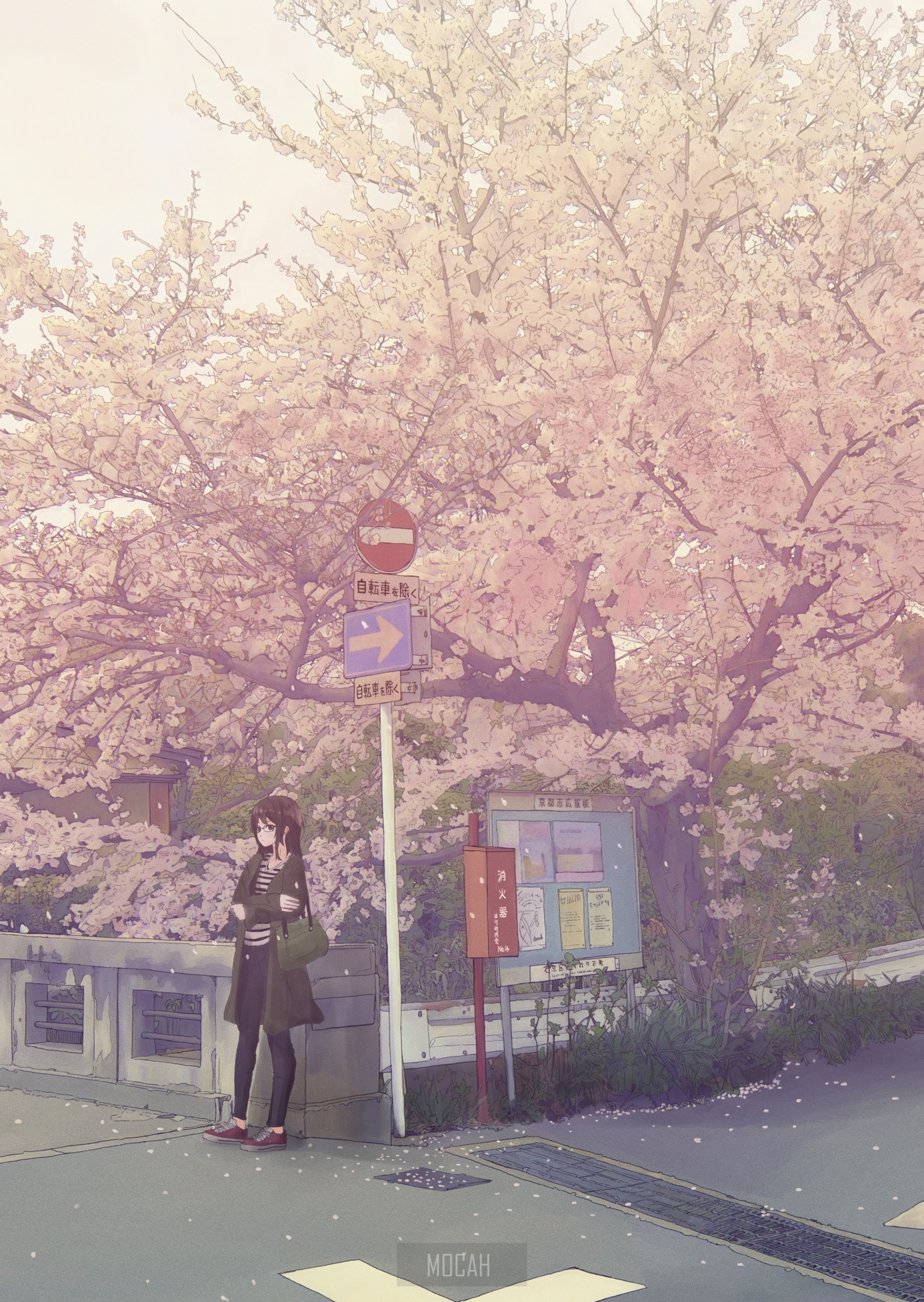 Anime girl under cherry blossom tree HD Phone Wallpaper